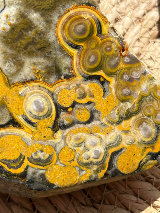 Mount Ciremai and the Bees 🐝- All About Bumblebee Jasper