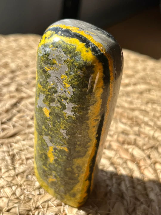Is Bumblebee Jasper Toxic? 🤔