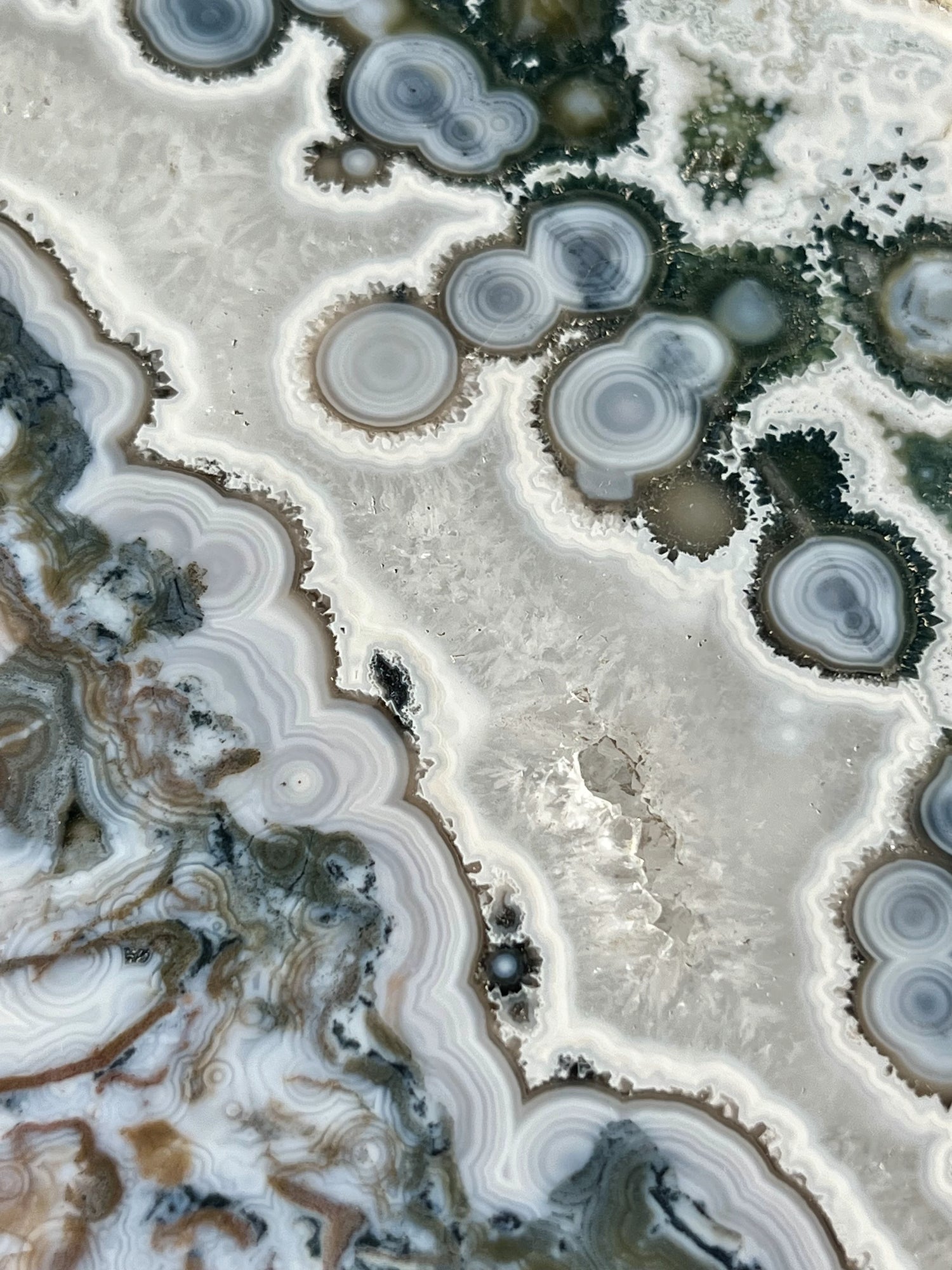 8th Vein Ocean Jasper