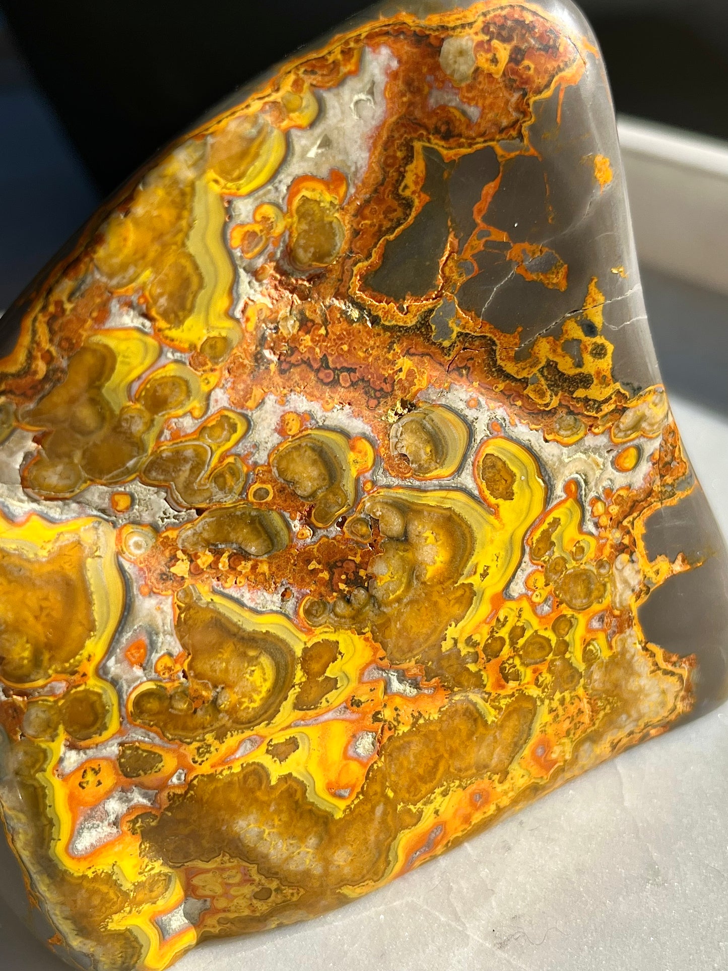Rare Orbicular Bumblebee Jasper Polished Freeform #4