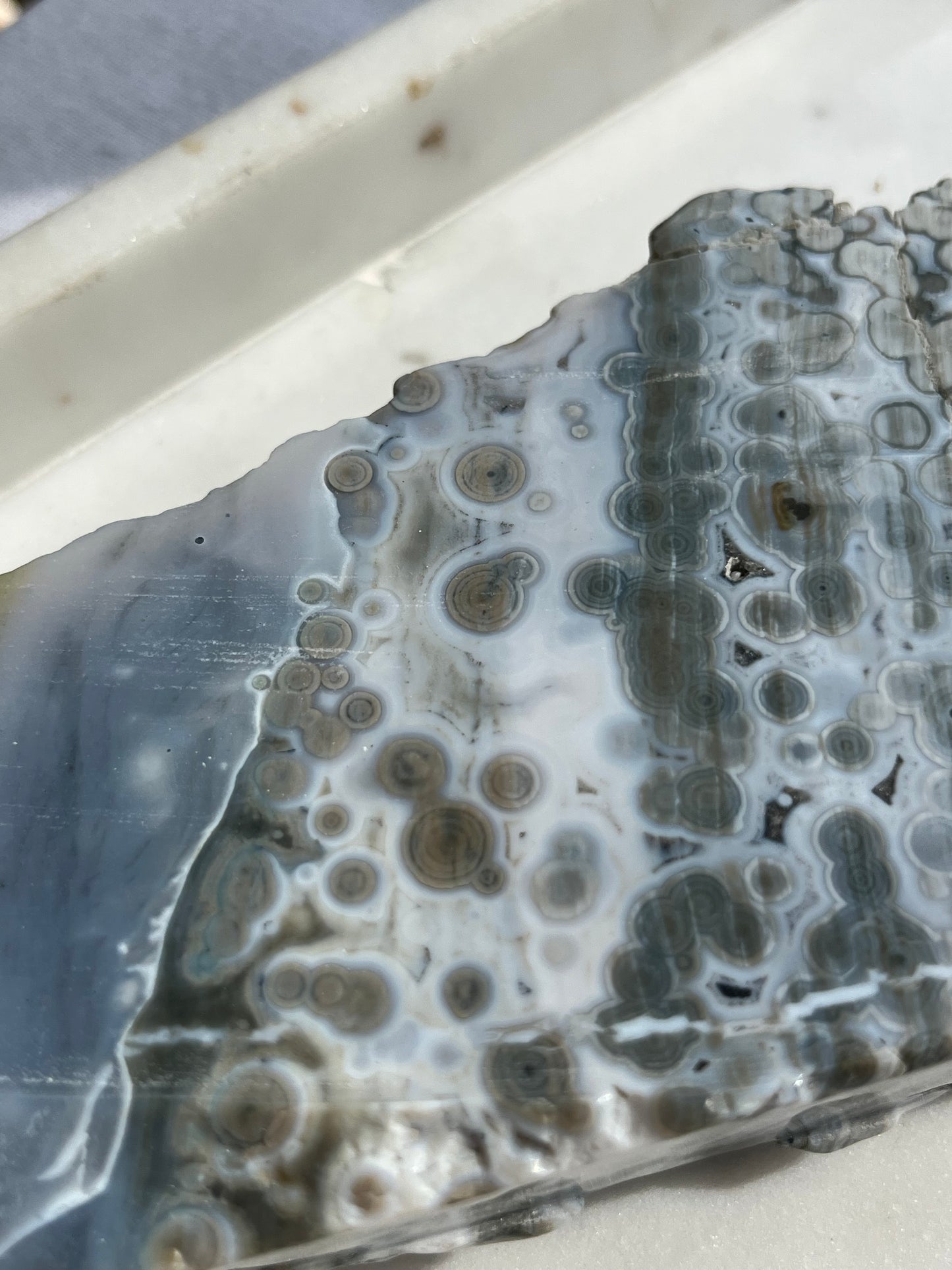 “Orca” 6th Vein Ocean Jasper Semi Polished Freeform Slab