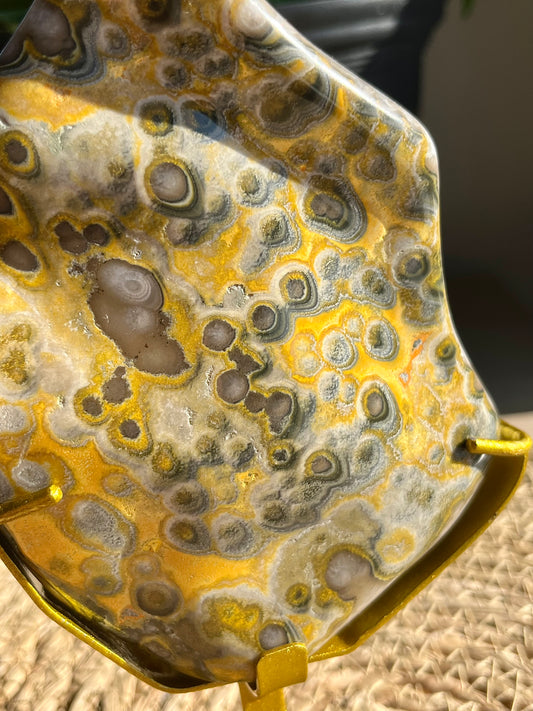 5 号展位上罕见的圆形大黄蜂碧玉抛光自由形状