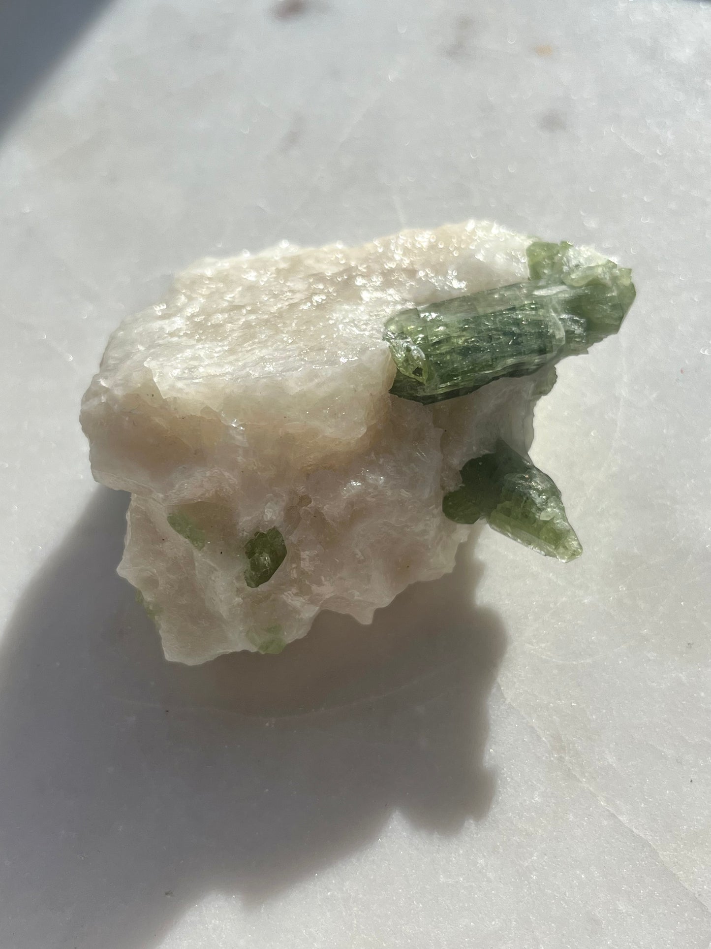 Diopside Specimen w/ Muscovite on Marble Matrix #2