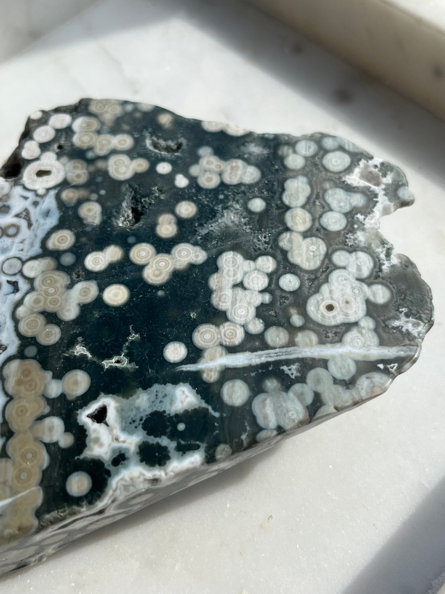 “Orca” 6th Vein Ocean Jasper Semi Polished Freeform Slab