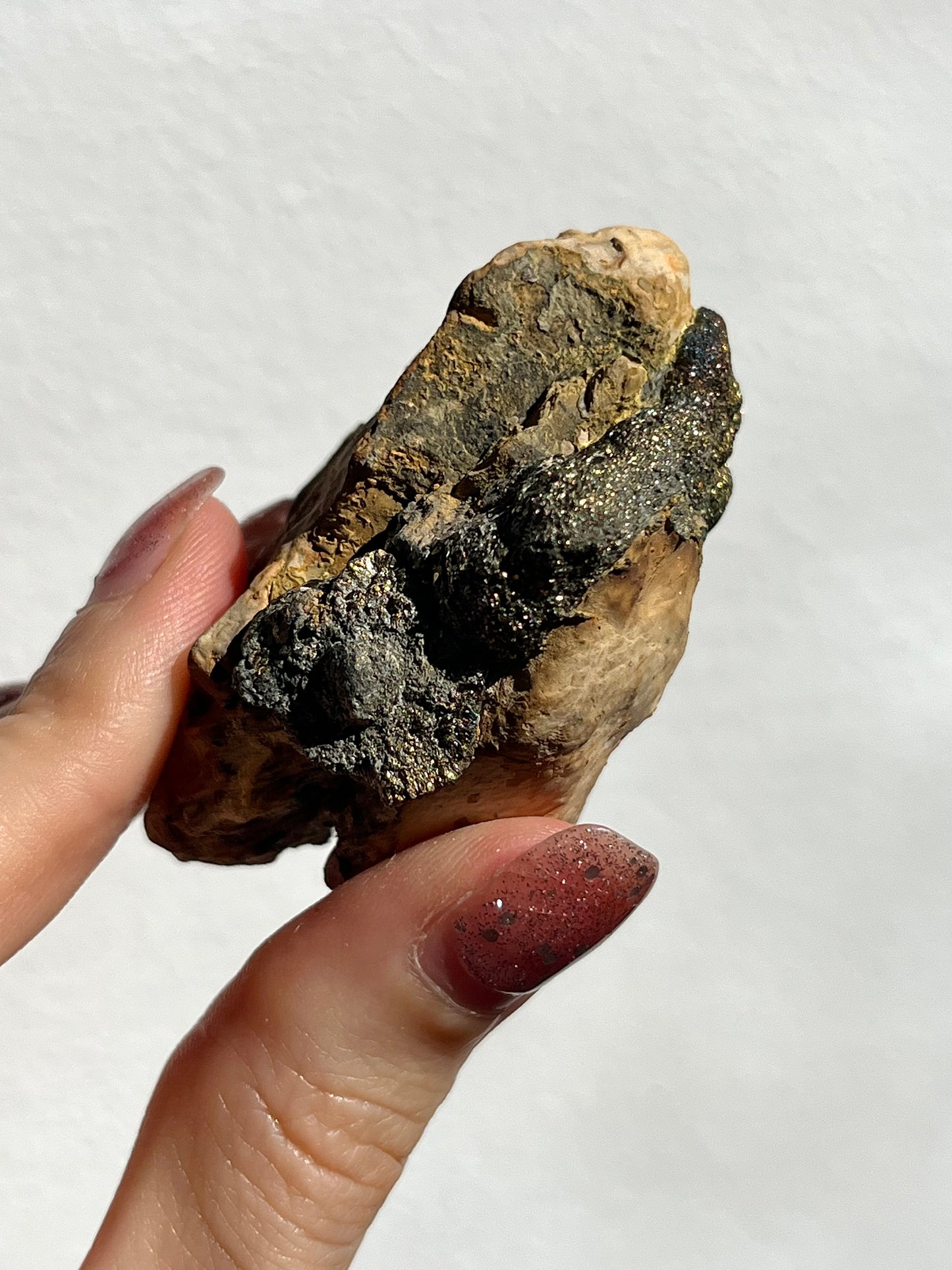 Iridescent Marcasite Specimen (You Choose)