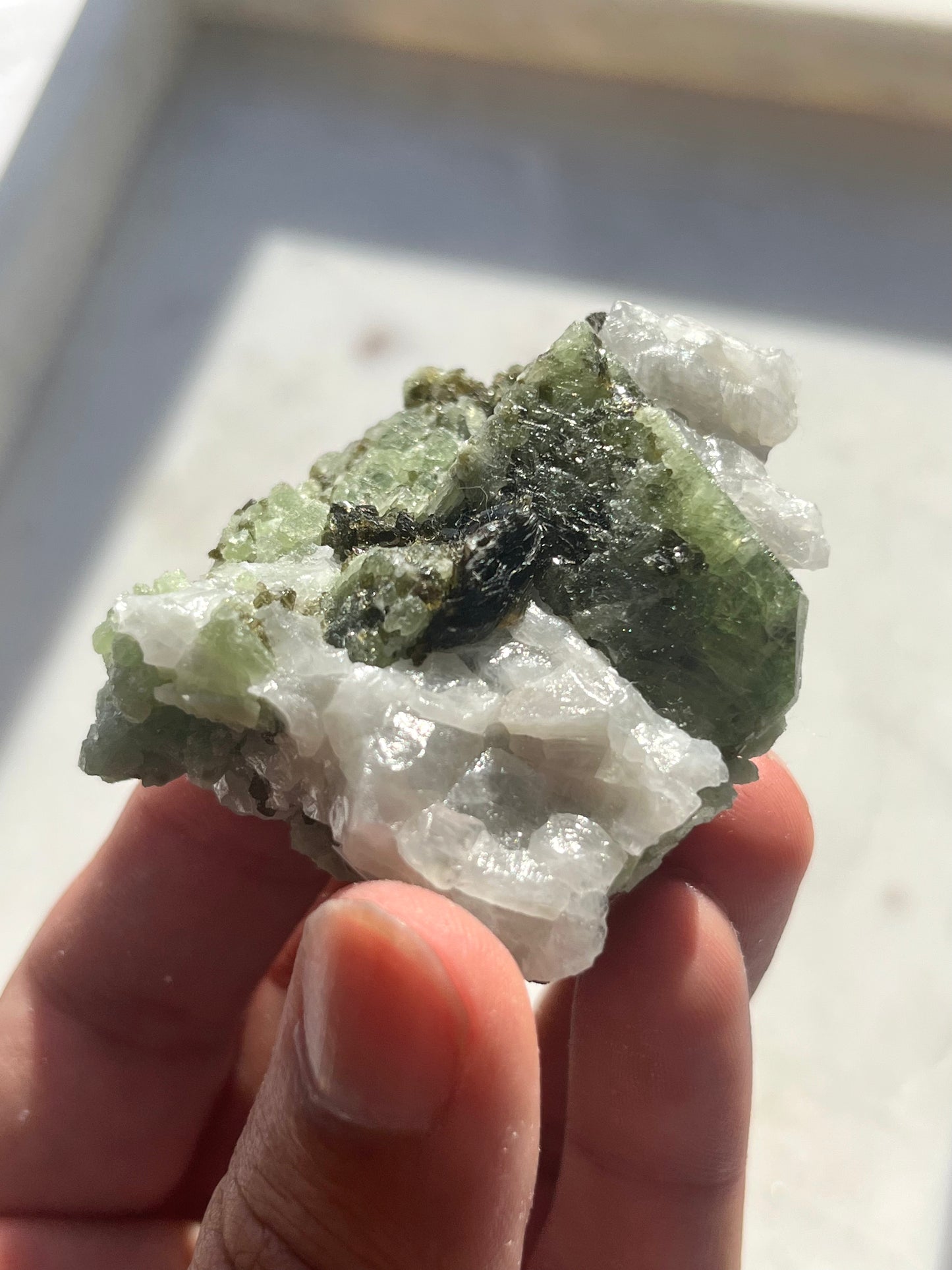 Diopside Specimen w/Muscovite on Marble Matrix #8