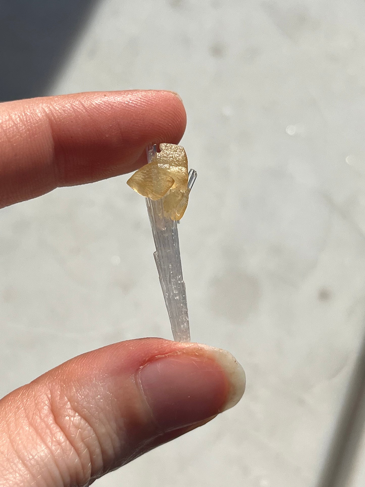A Grade Yellow Rhombohedral Calcite on Scolecite Spray Specimen #SC23
