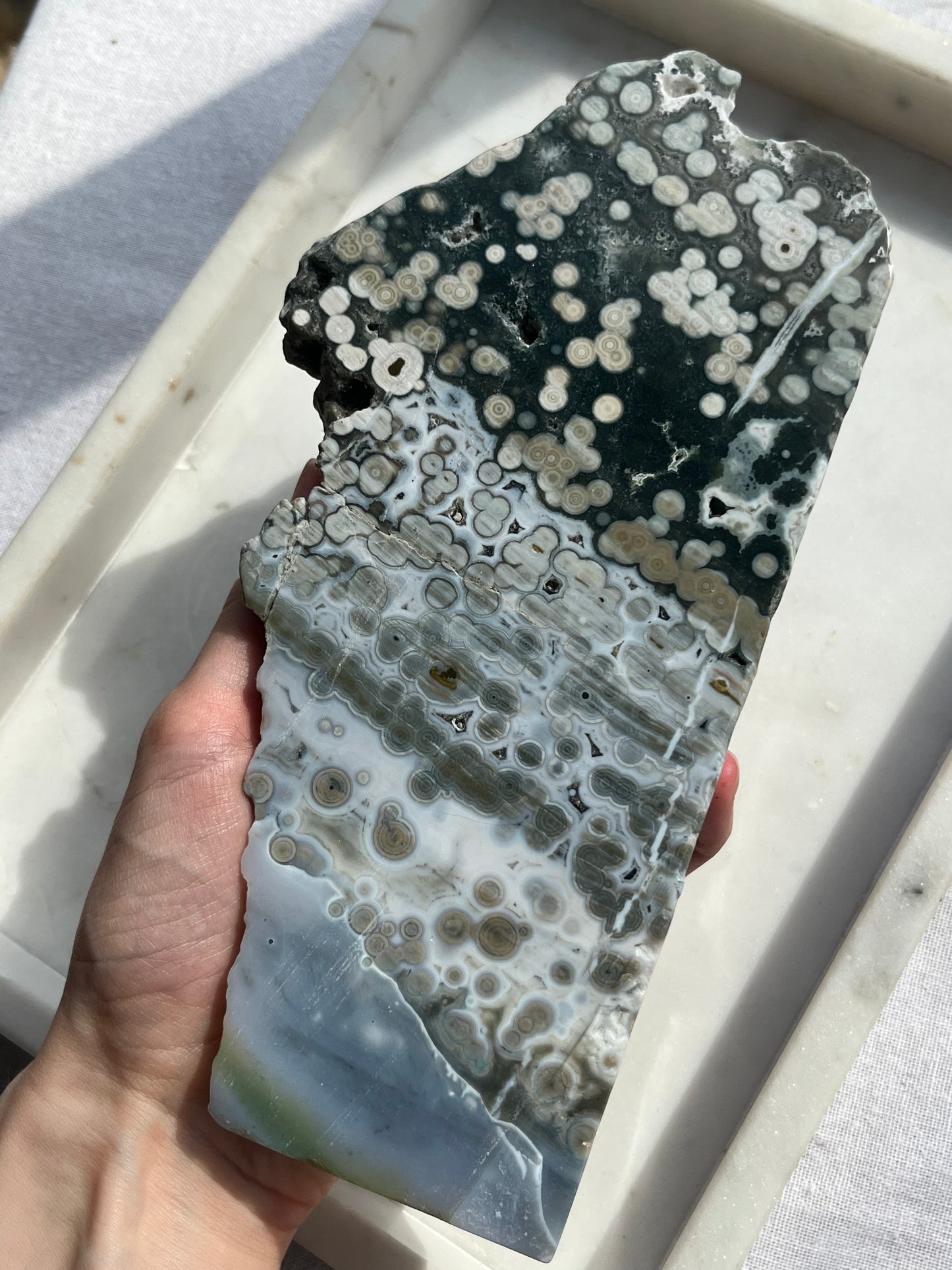 “Orca” 6th Vein Ocean Jasper Semi Polished Freeform Slab