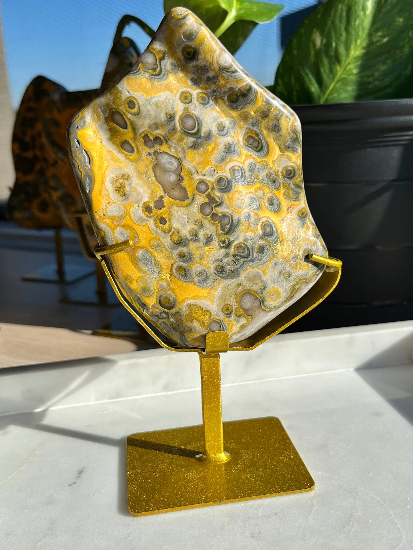 5 号展位上罕见的圆形大黄蜂碧玉抛光自由形状