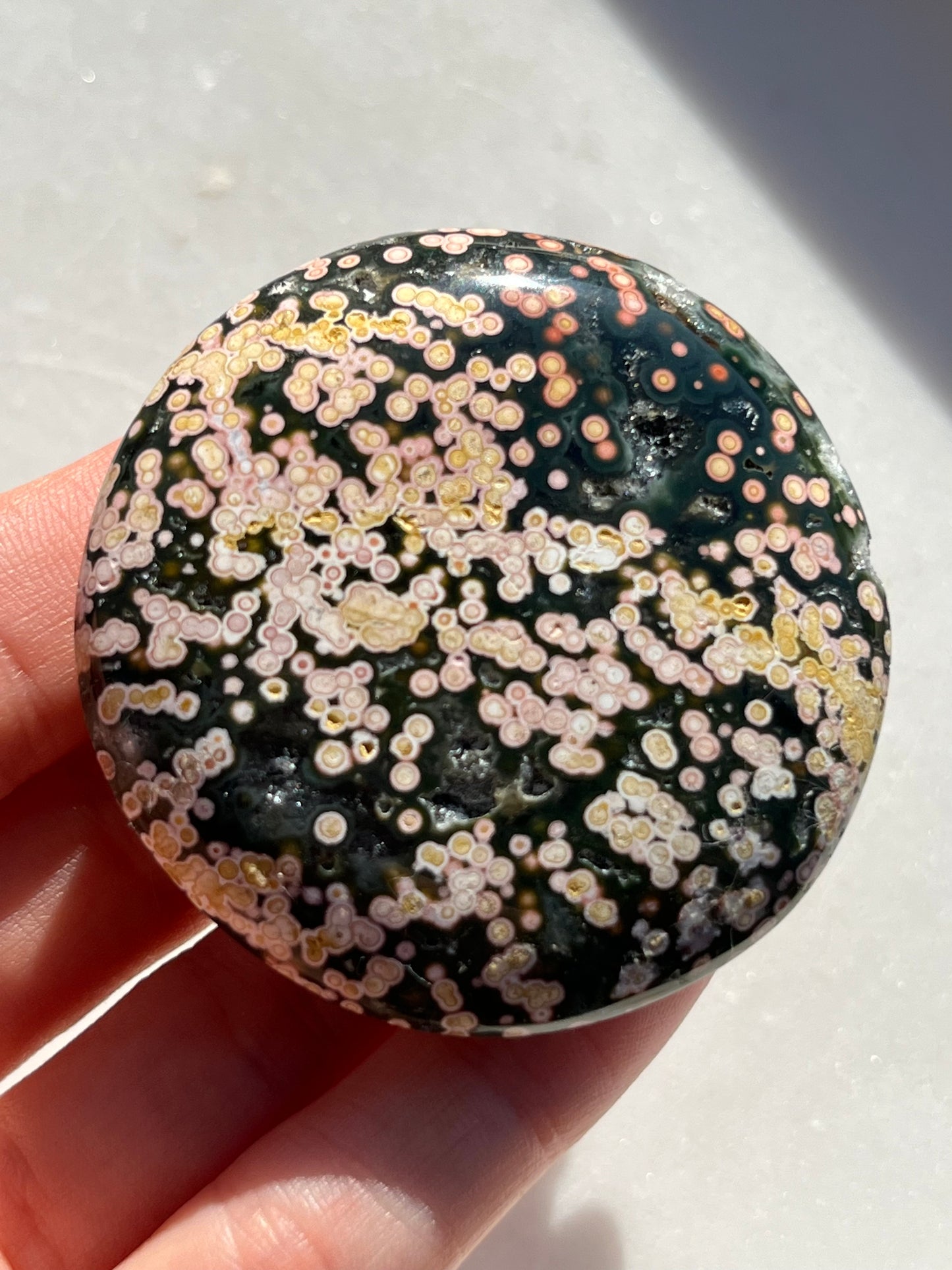 'The Dome' Veinless Ocean Jasper Palmstone #26