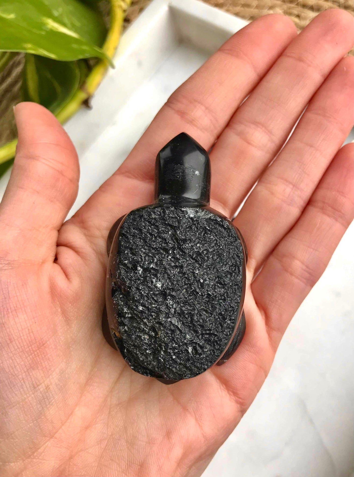 Agni Manitite“神火珍珠”龟雕(脚趾缺损)