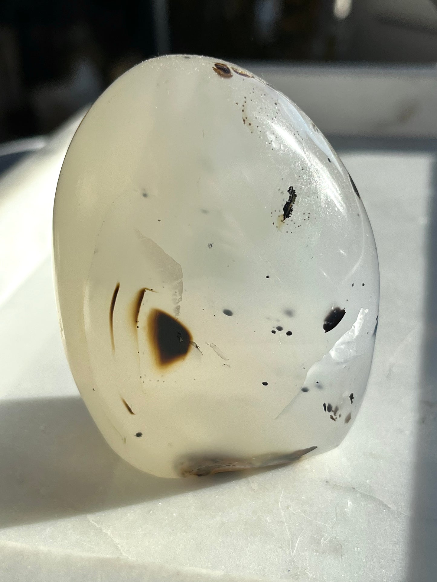 Dendritic Agate Freeform #6