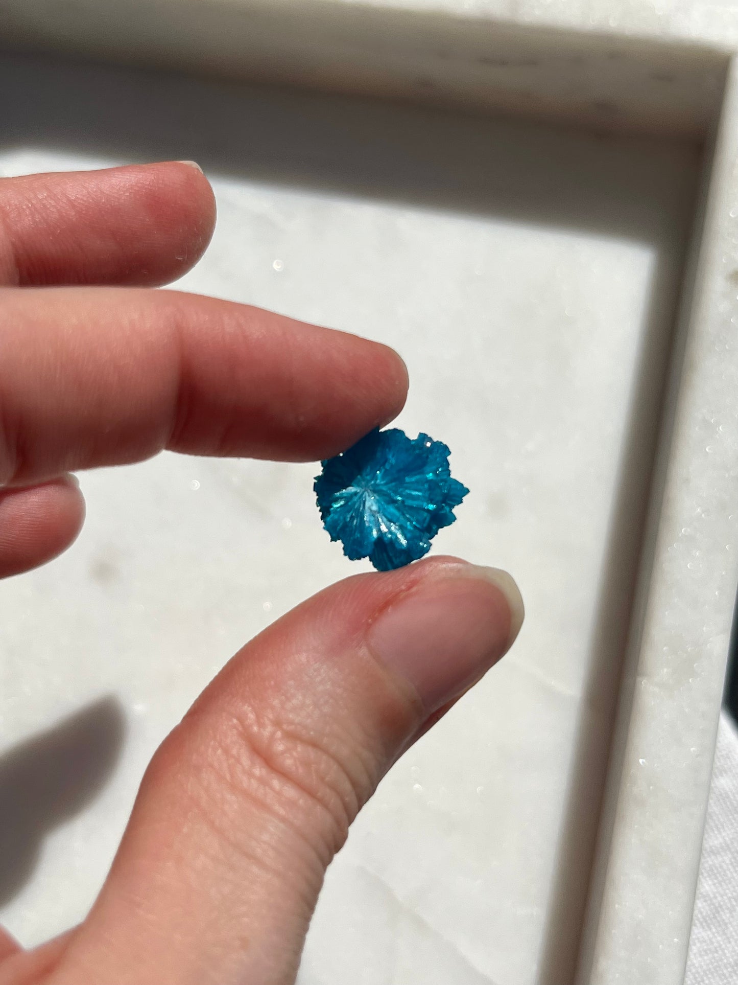 Caja de muestras de mini minerales indios