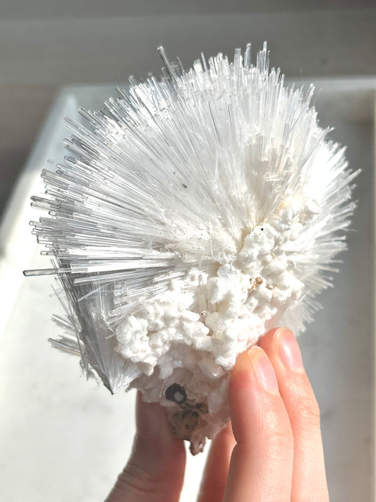 丝光沸石底座上的中沸石样本 #14