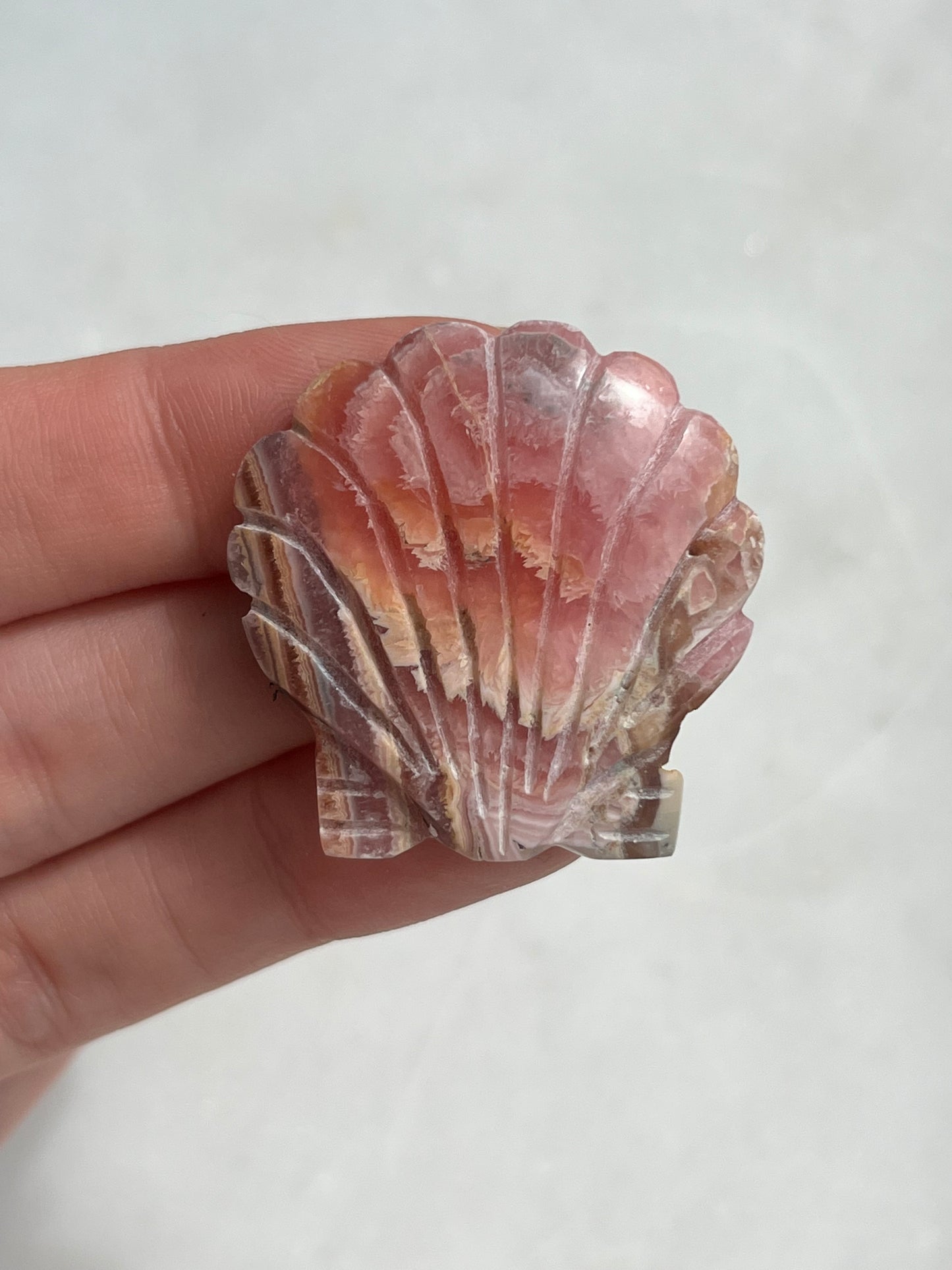 Banded Rhodochrosite Seashell Carving (You Choose)