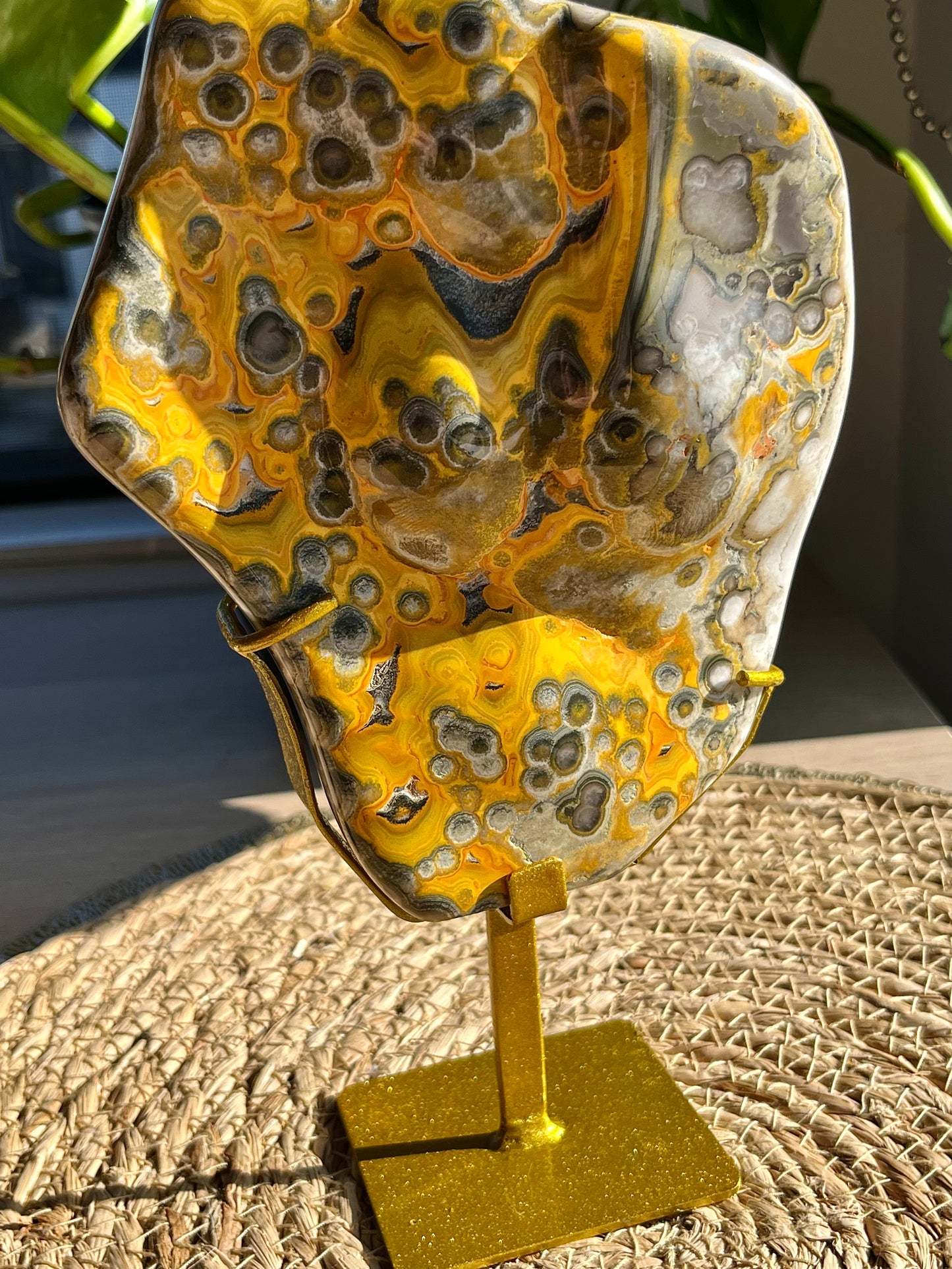 Rare Orbicular Bumblebee Jasper Polished Freeform on Stand #3