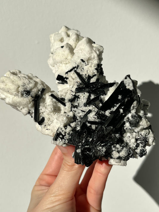 Schorl Black Tourmaline in Feldspar Specimen