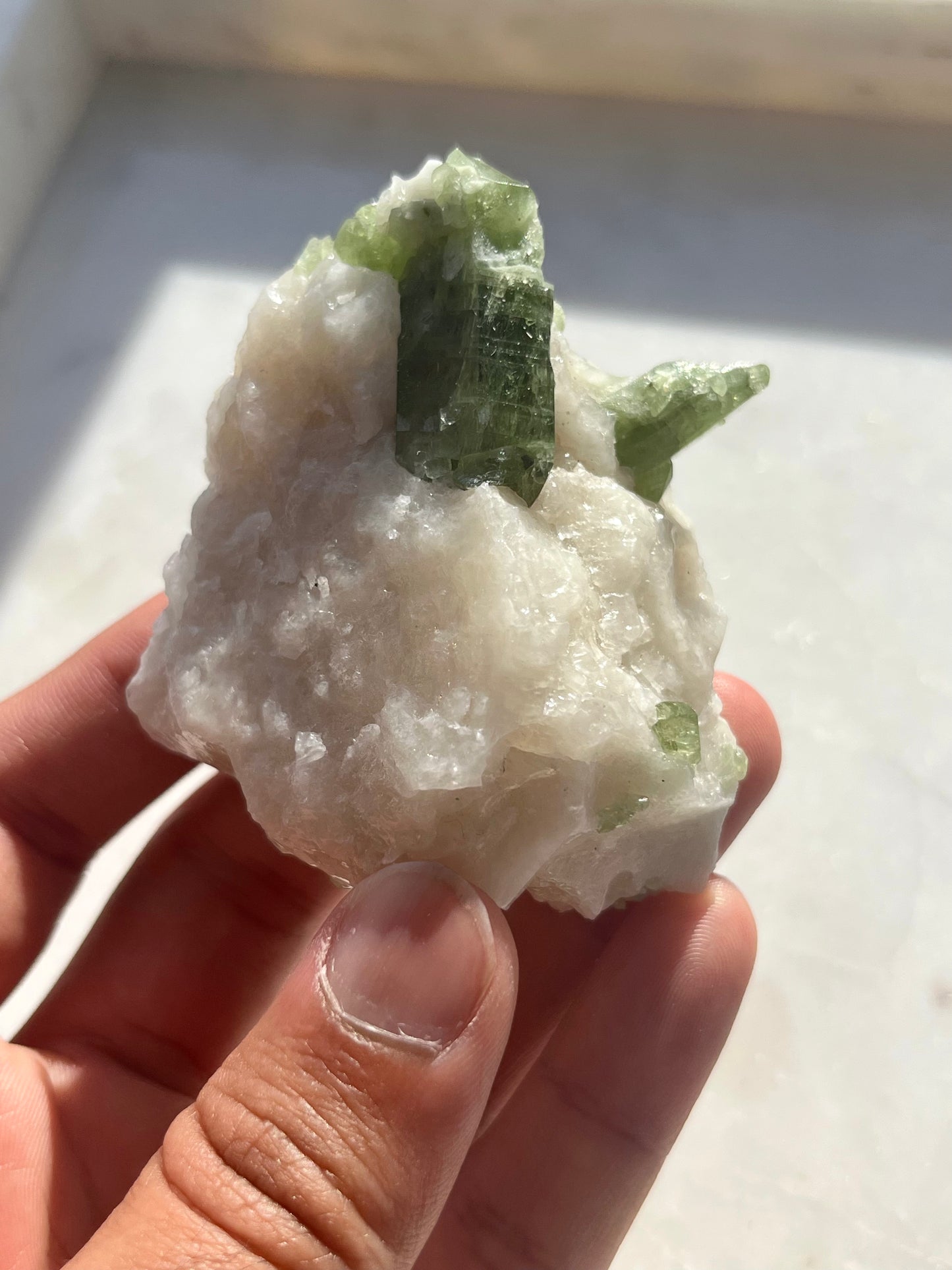 Diopside Specimen w/ Muscovite on Marble Matrix #2
