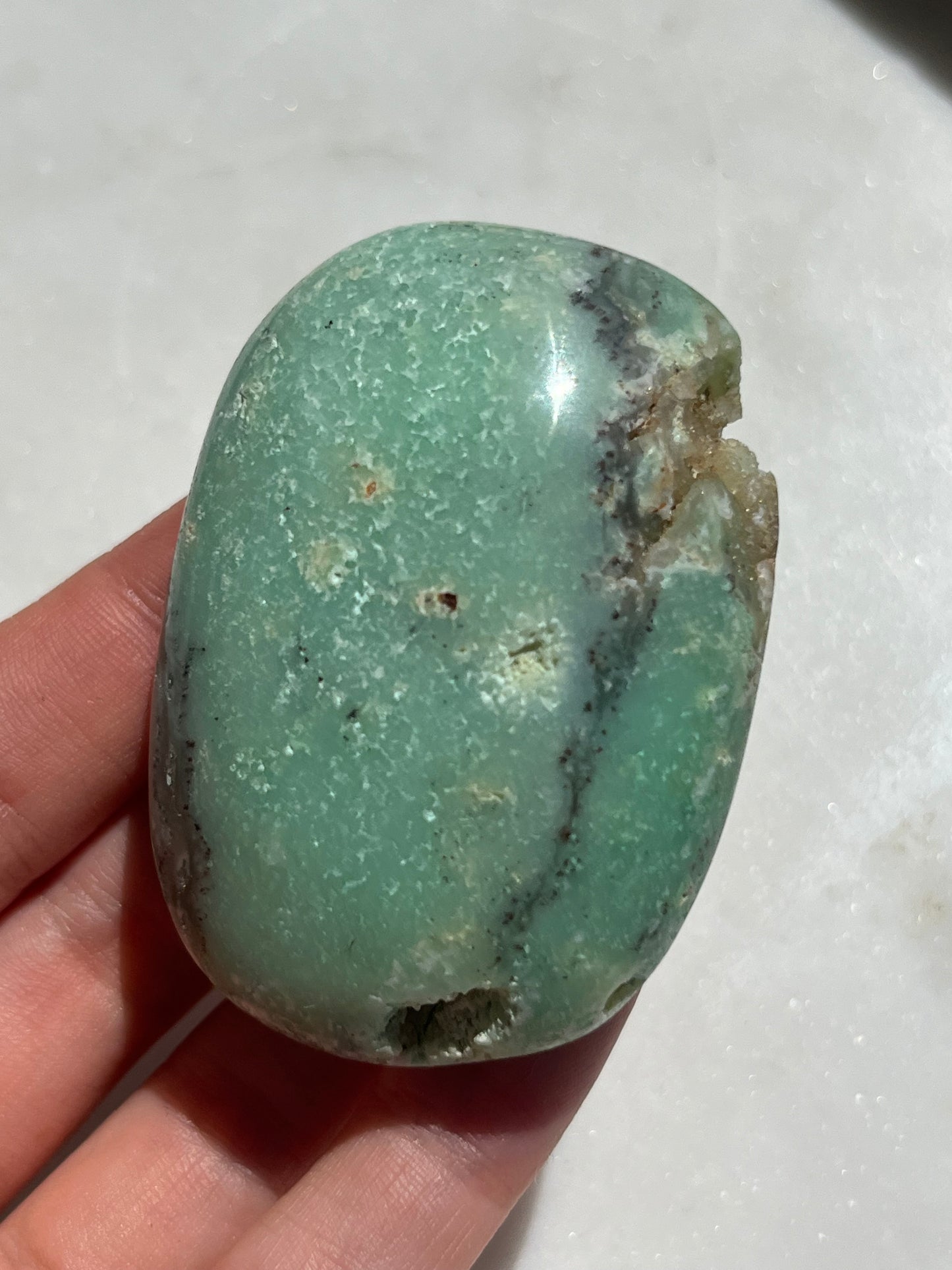 Indonesian Chrysoprase Palmstone w/Dendritic Inclusions #1