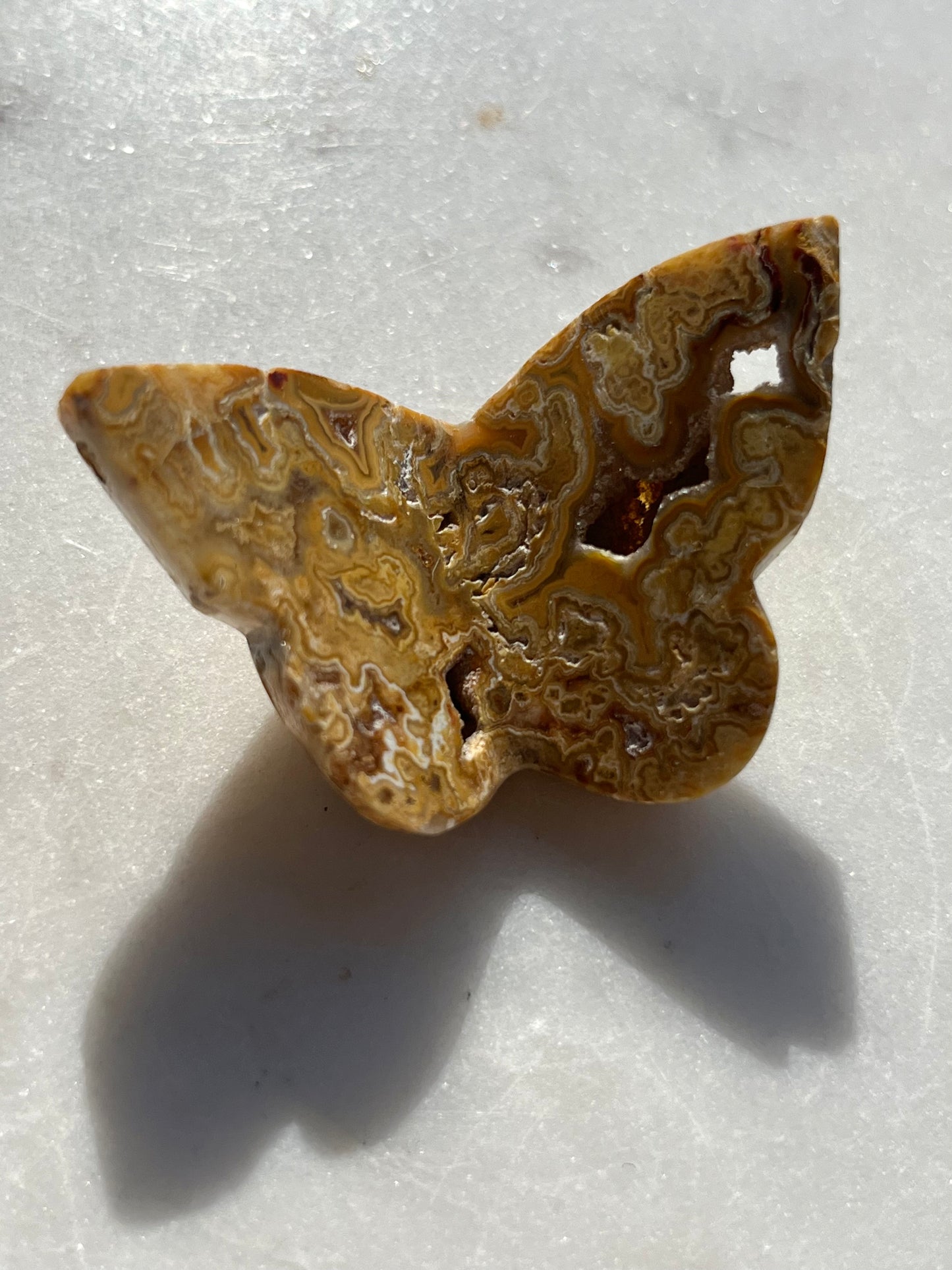 Indonesian Golden Crazy Lace Agate 3D Butterfly Carving (You Choose)