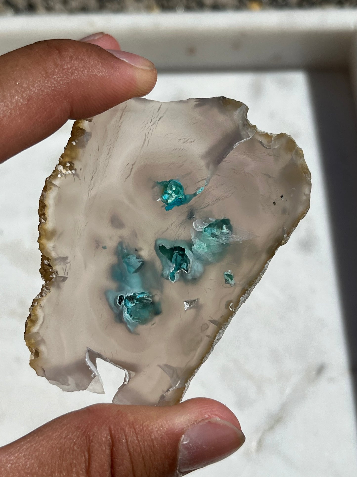 Chrysocolla in Chalcedony Slice w/Dendritic Inclusions