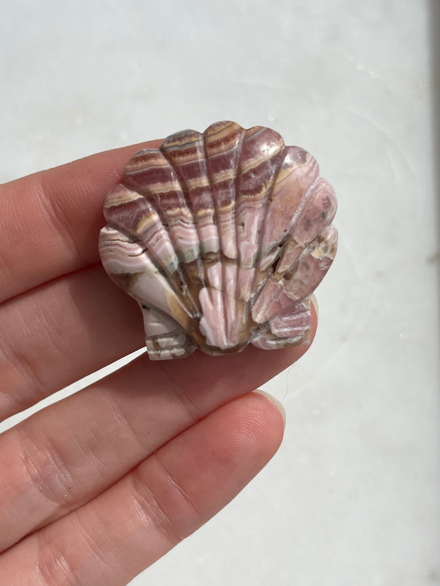 Banded Rhodochrosite Seashell Carving (You Choose)
