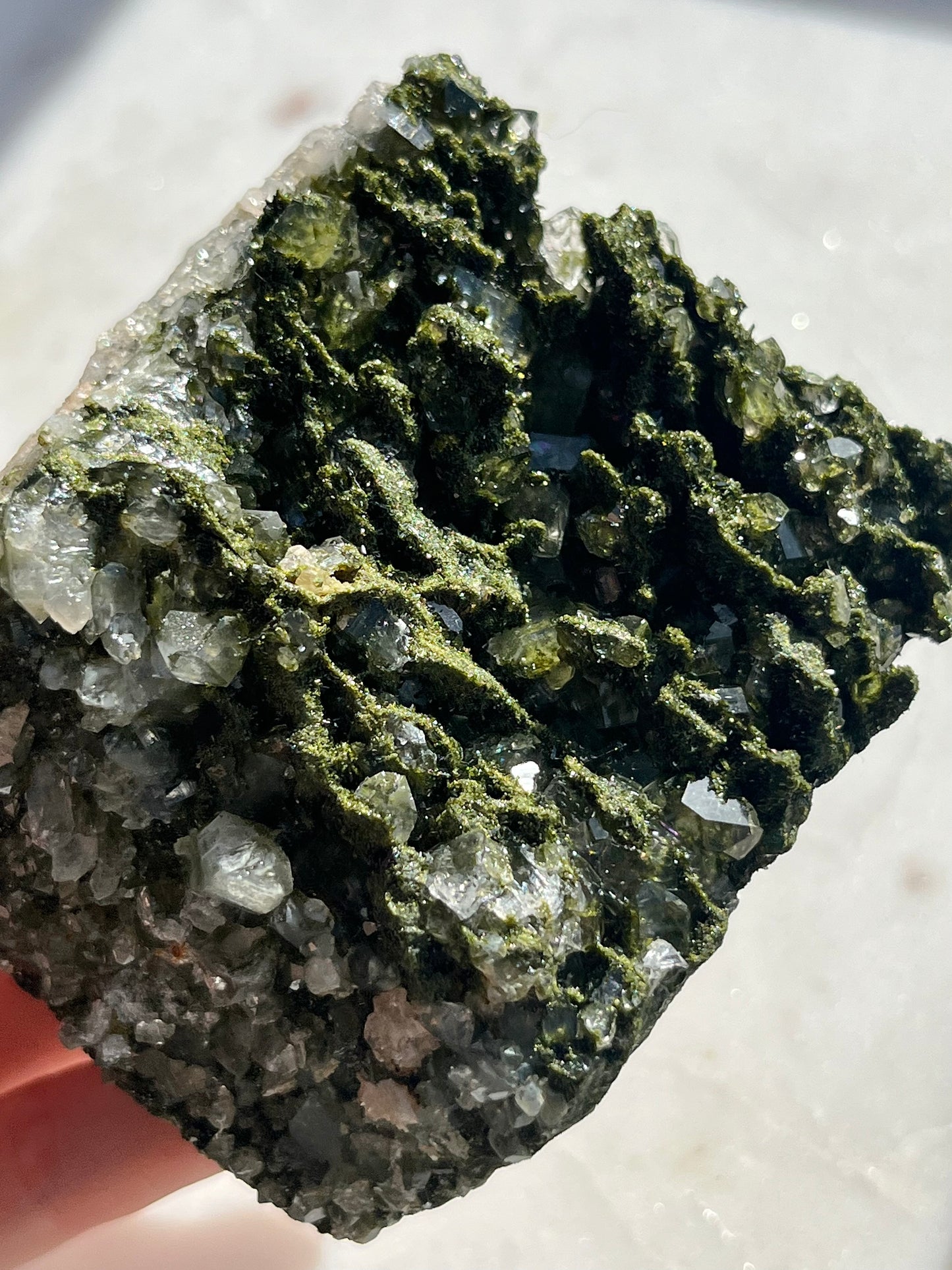 "Inner Earth" Epidote on Quartz Specimen #10