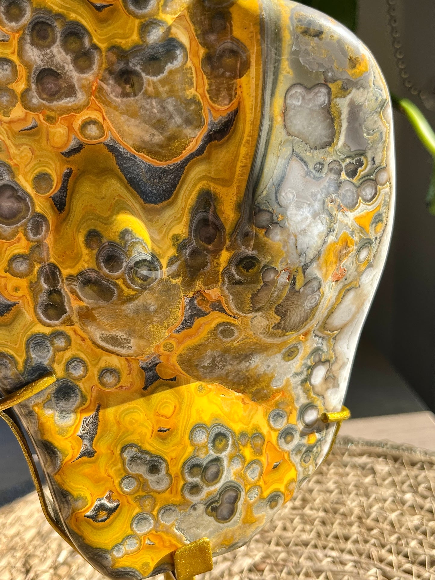 Rare Orbicular Bumblebee Jasper Polished Freeform on Stand #3