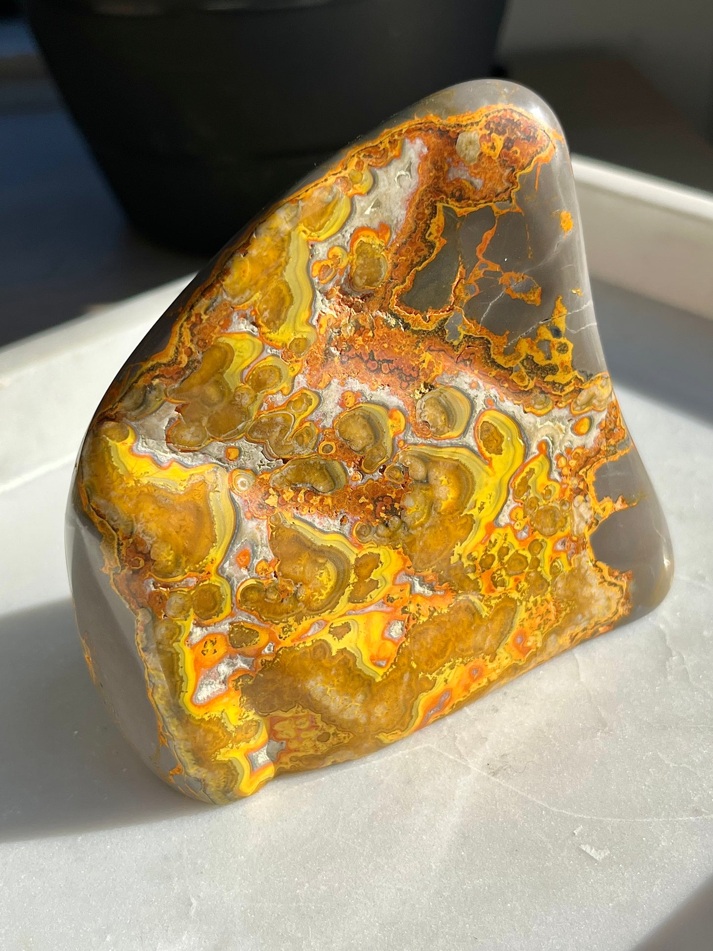 Rare Orbicular Bumblebee Jasper Polished Freeform #4