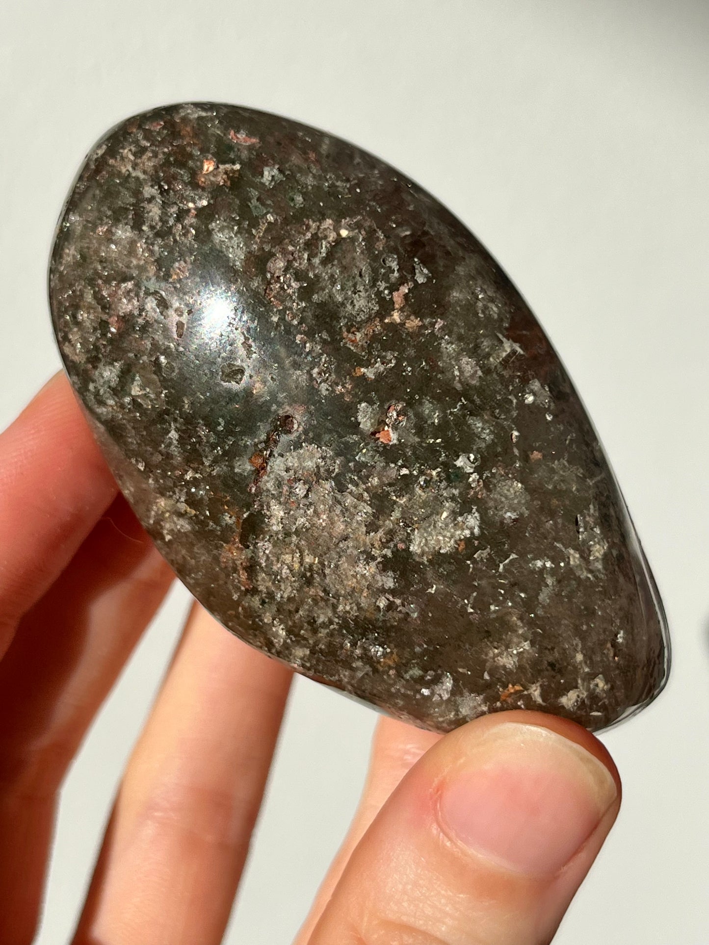Garden Smokey Quartz Lens w/Green Chlorite #70