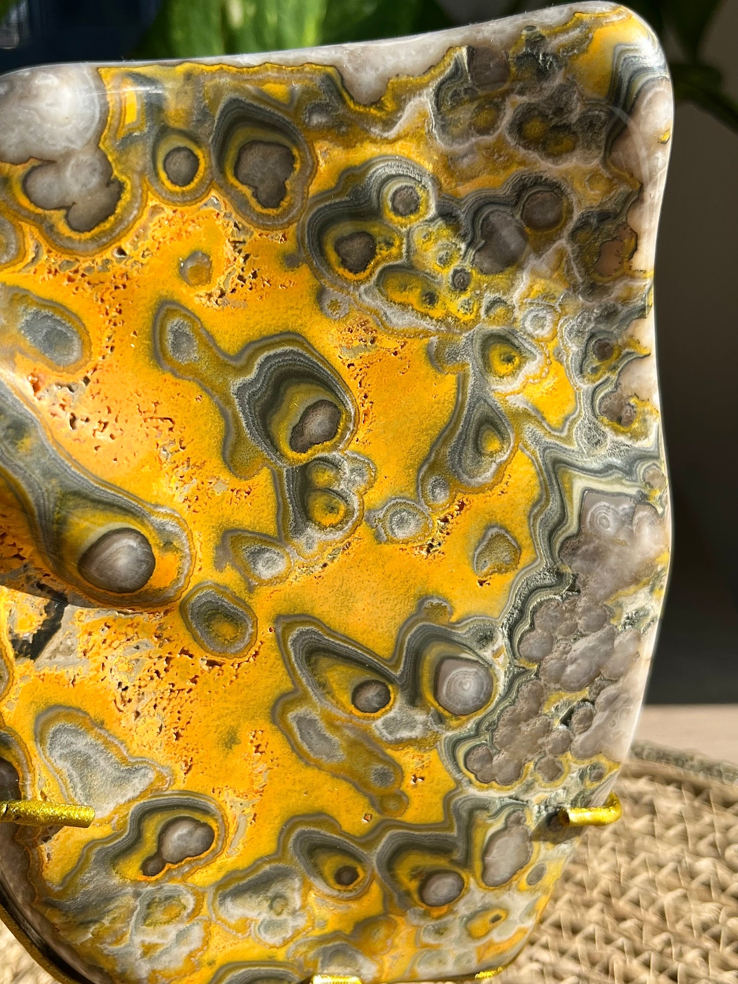 Rare Orbicular Bumblebee Jasper Polished Freeform on Stand #2