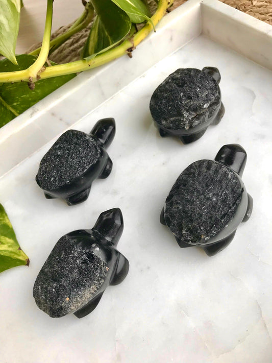 Agni Manitite“神火珍珠”龟雕(脚趾缺损)