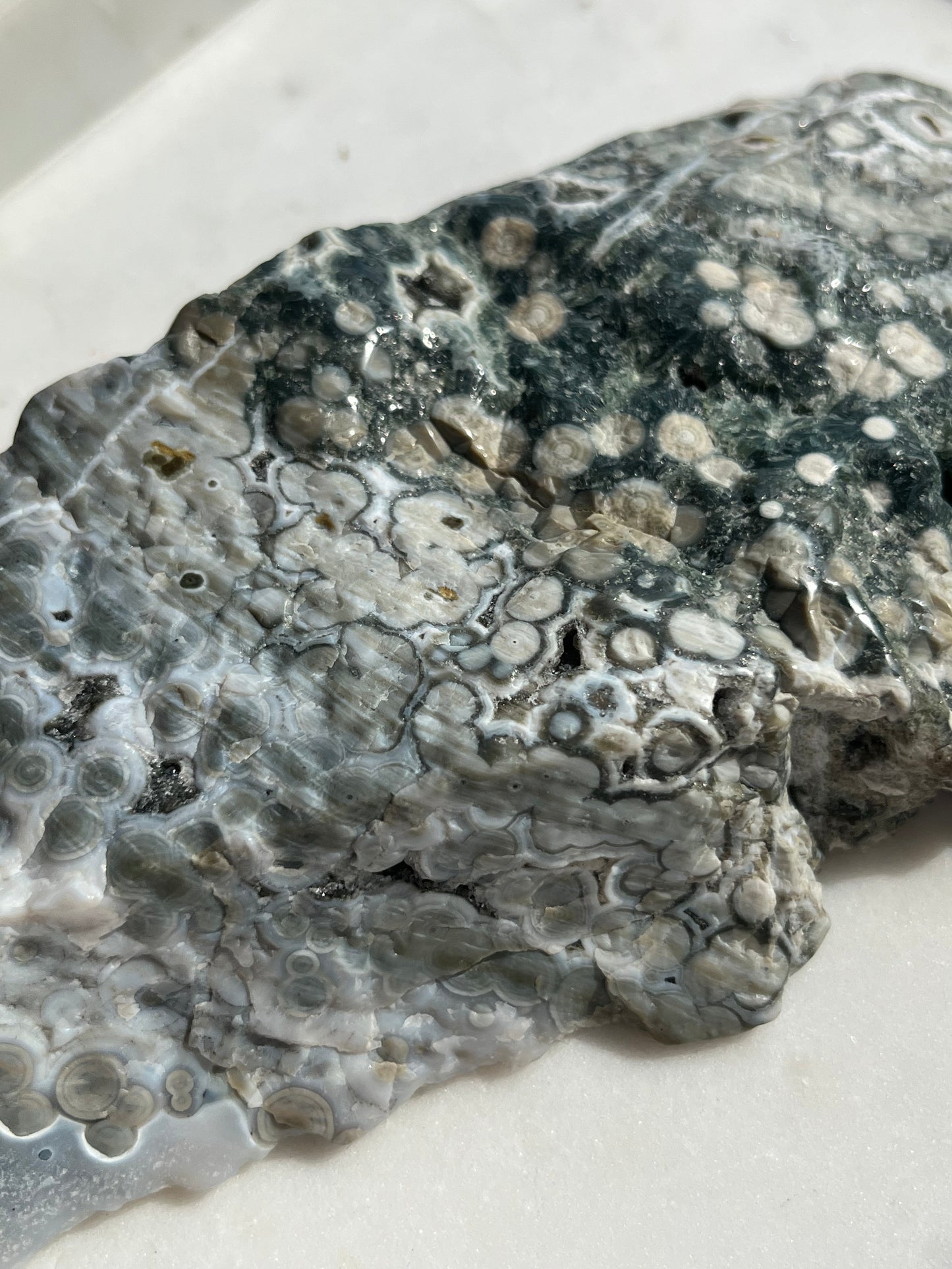 “Orca” 6th Vein Ocean Jasper Semi Polished Freeform Slab