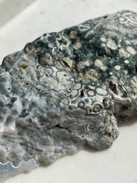 “Orca” 6th Vein Ocean Jasper Semi Polished Freeform Slab