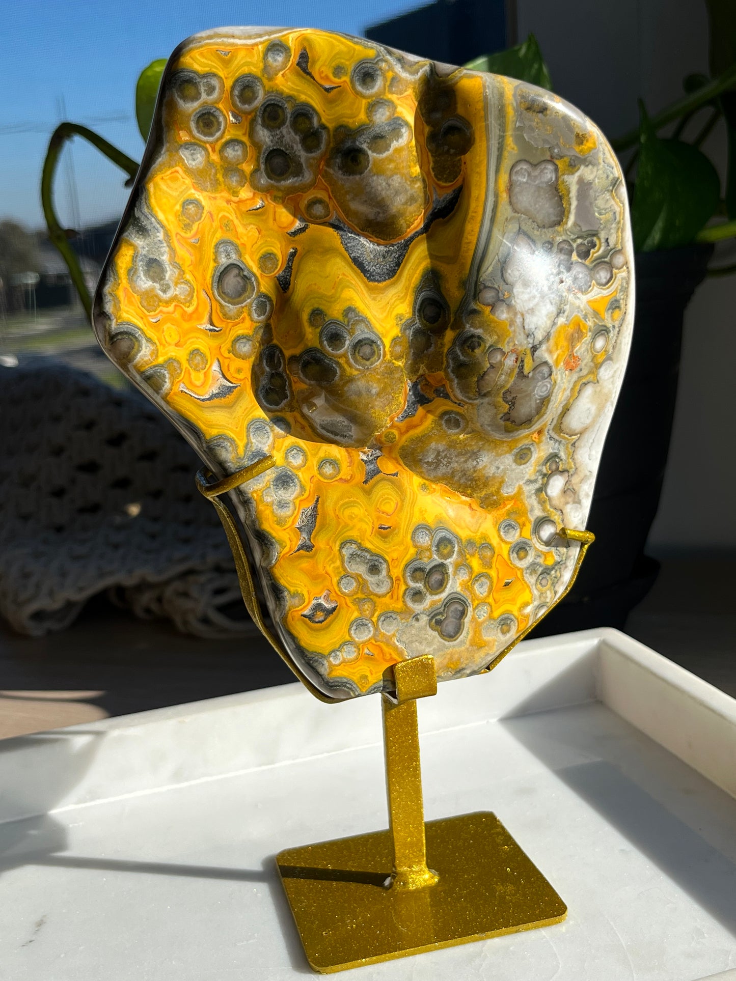 Rare Orbicular Bumblebee Jasper Polished Freeform on Stand #3