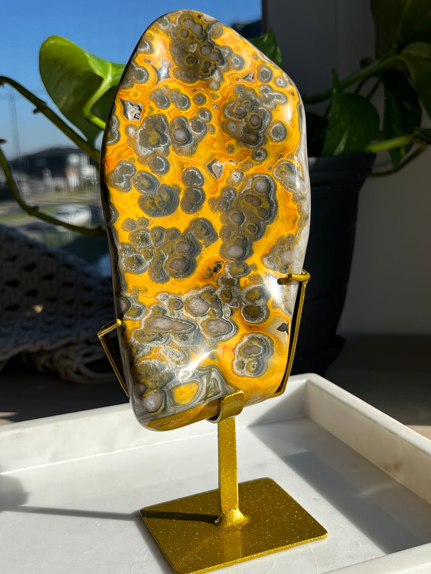 Rare Orbicular Bumblebee Jasper Polished Freeform on Stand #1