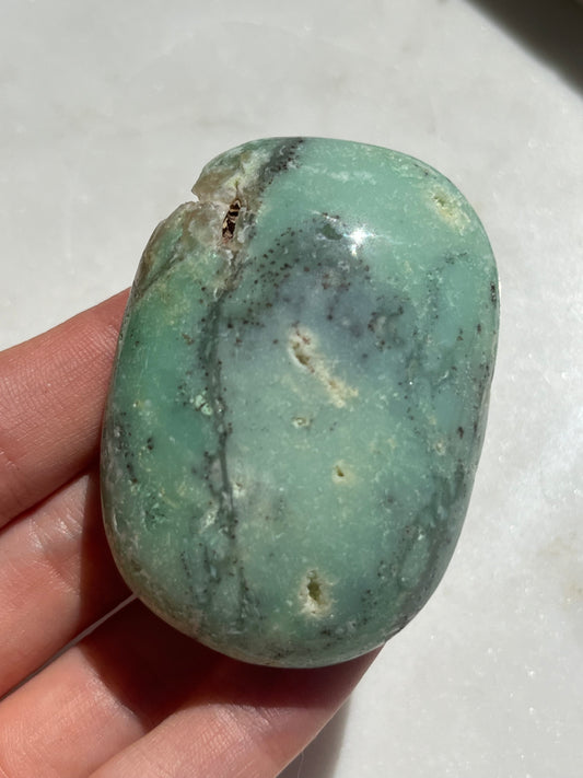 Indonesian Chrysoprase Palmstone w/Dendritic Inclusions #1