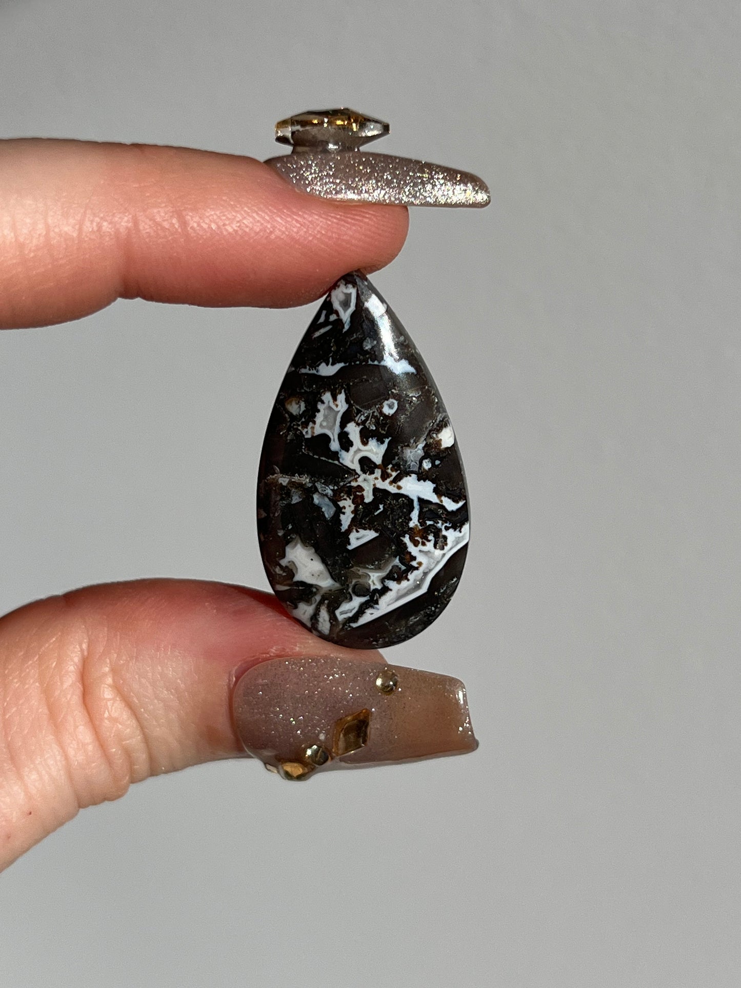 Agatised Black Petrified Wood and Marcasite Cabochon (You Choose)