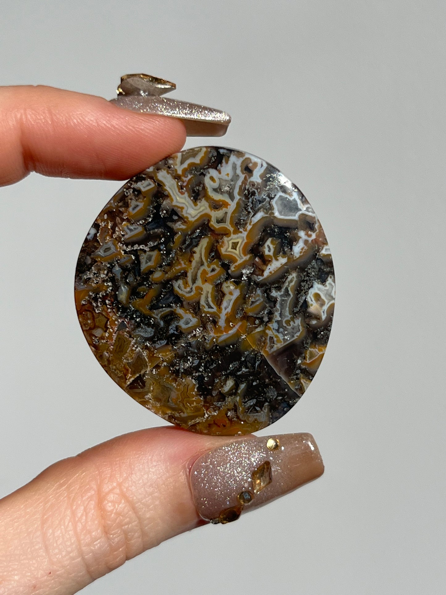 Agatised Petrified Wood Flatstone (You Choose)