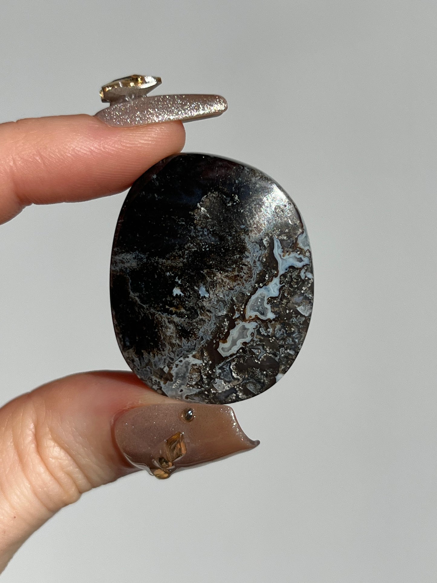 Agatised Petrified Wood Flatstone (You Choose)