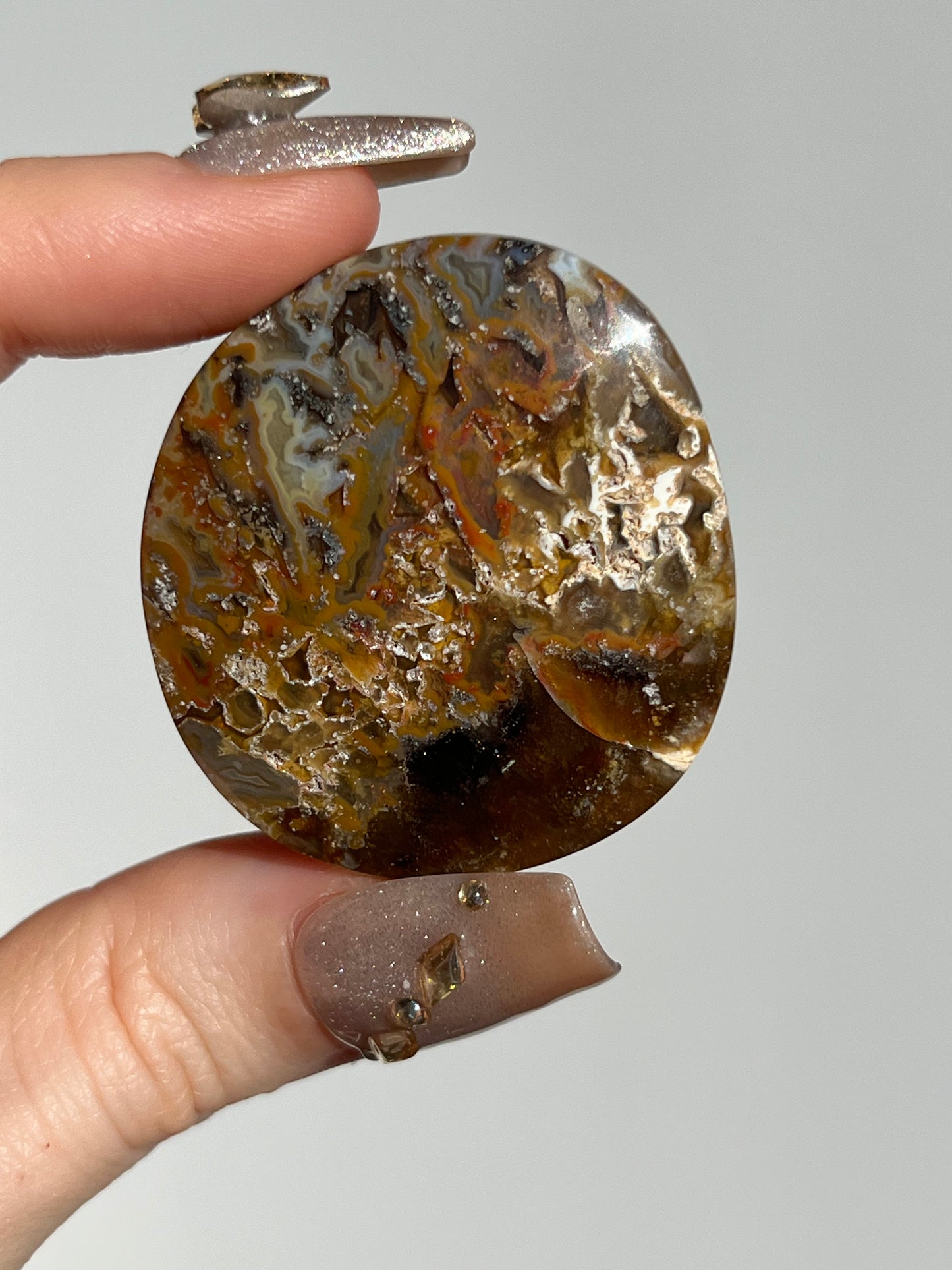 Agatised Petrified Wood Flatstone (You Choose)