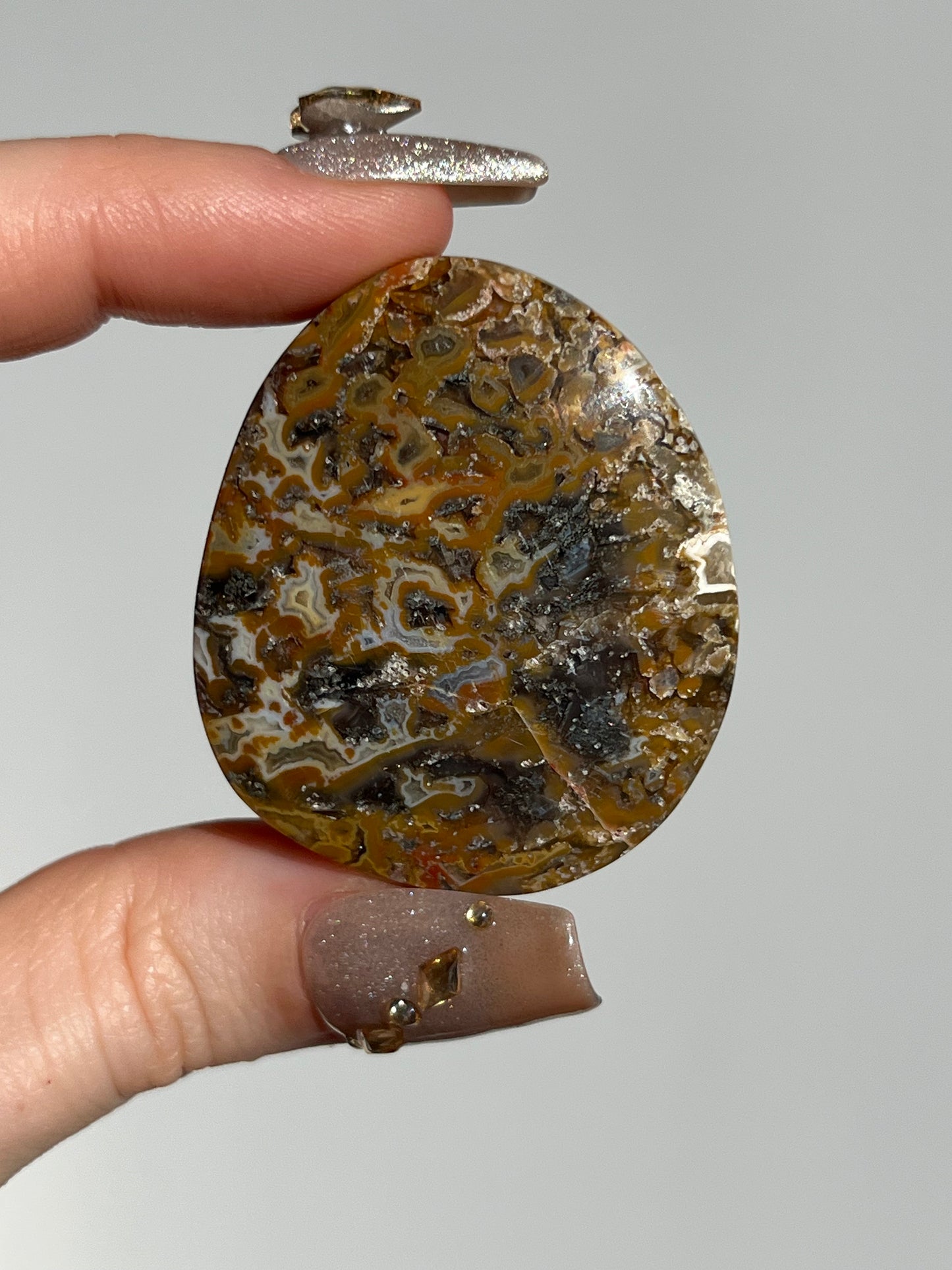 Agatised Petrified Wood Flatstone (You Choose)