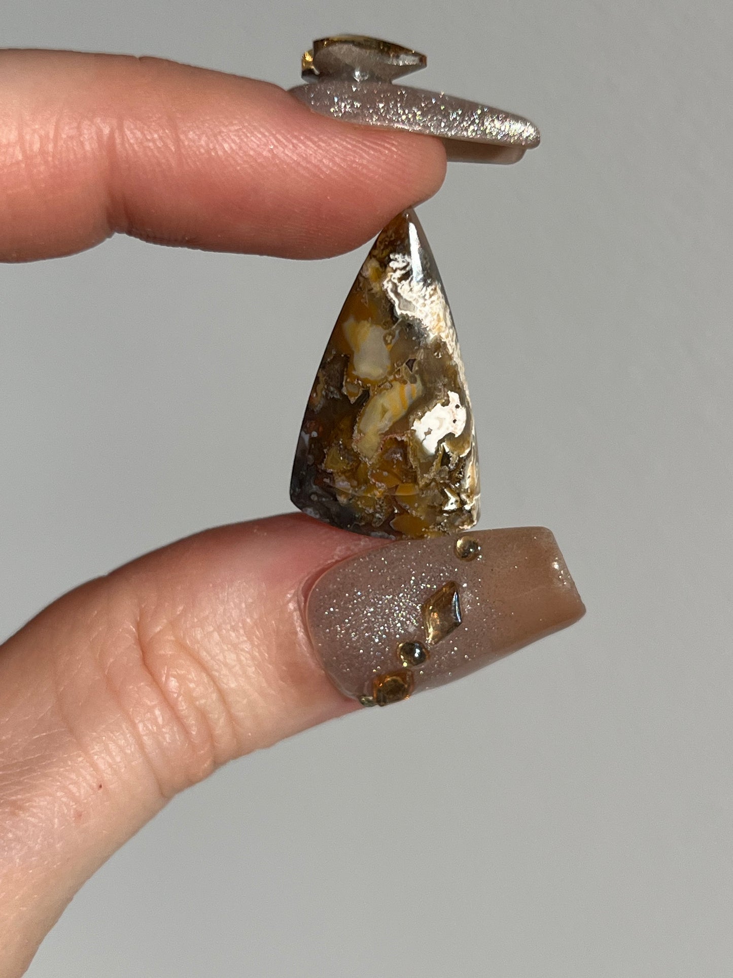 Petrified Wood and Marcasite Mixed Shape Cabochon (You Choose)