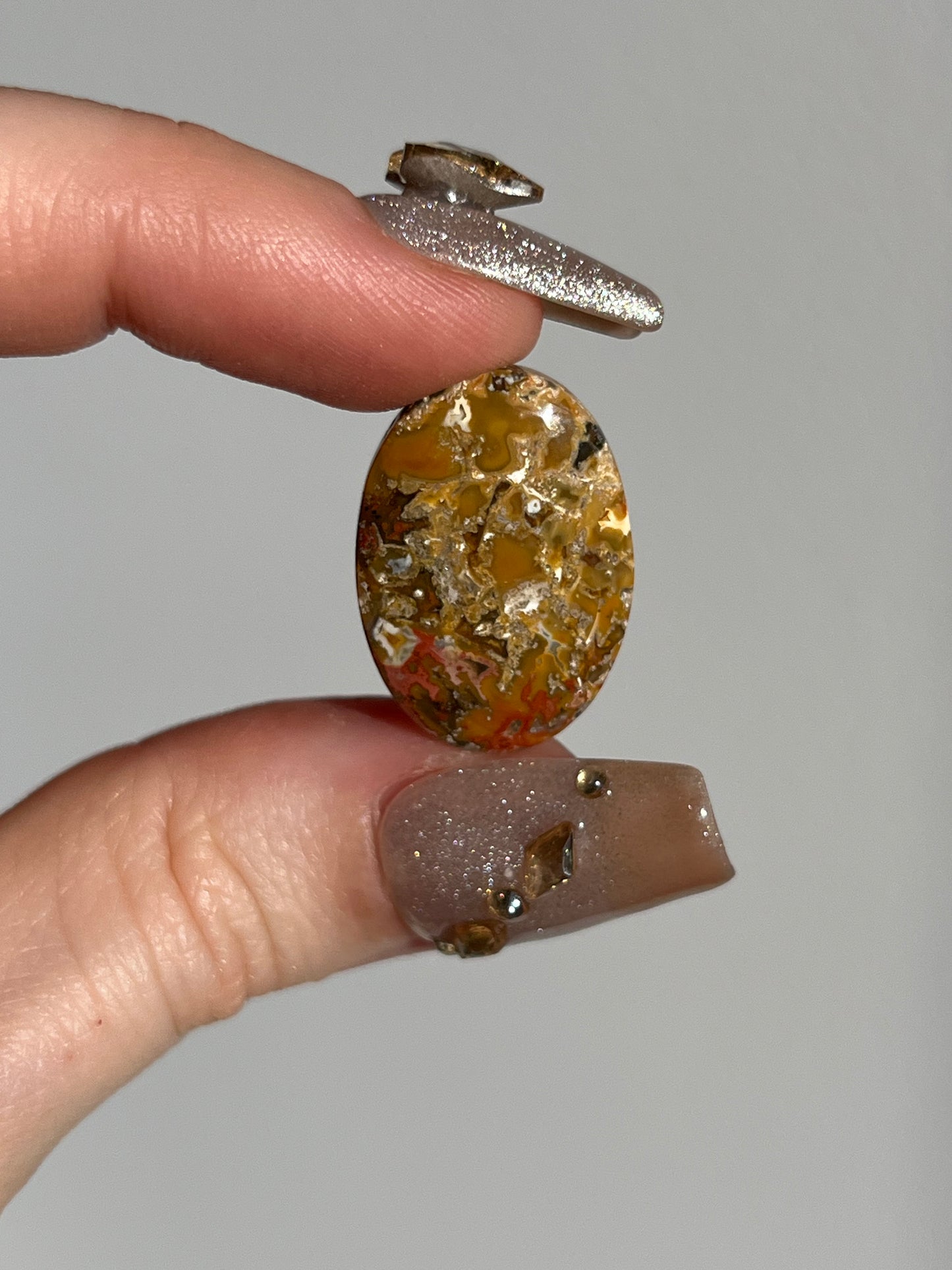 Brown Agatised Petrified Wood and Marcasite Oval Cabochon (You Choose)