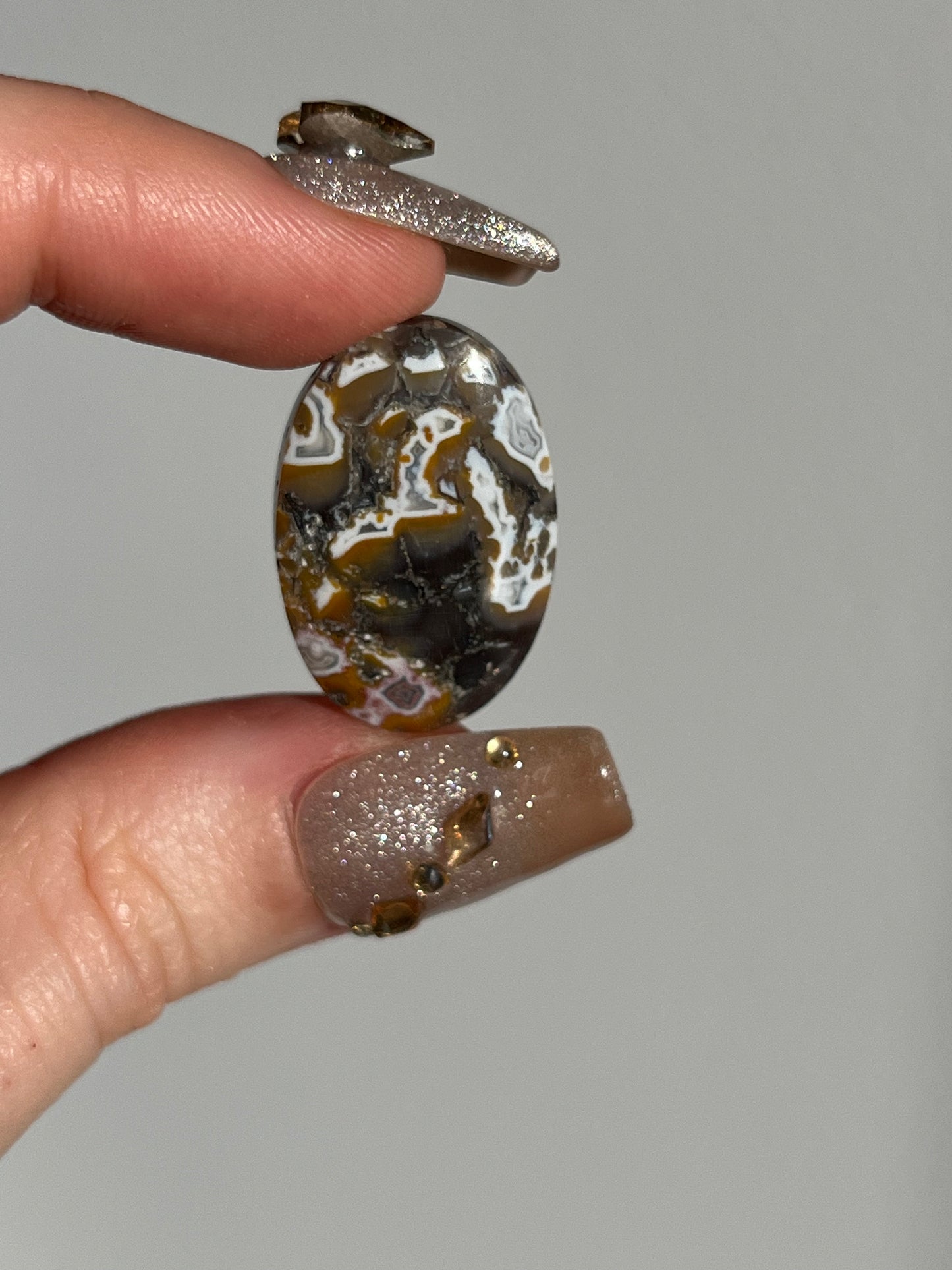 Brown Agatised Petrified Wood and Marcasite Oval Cabochon (You Choose)