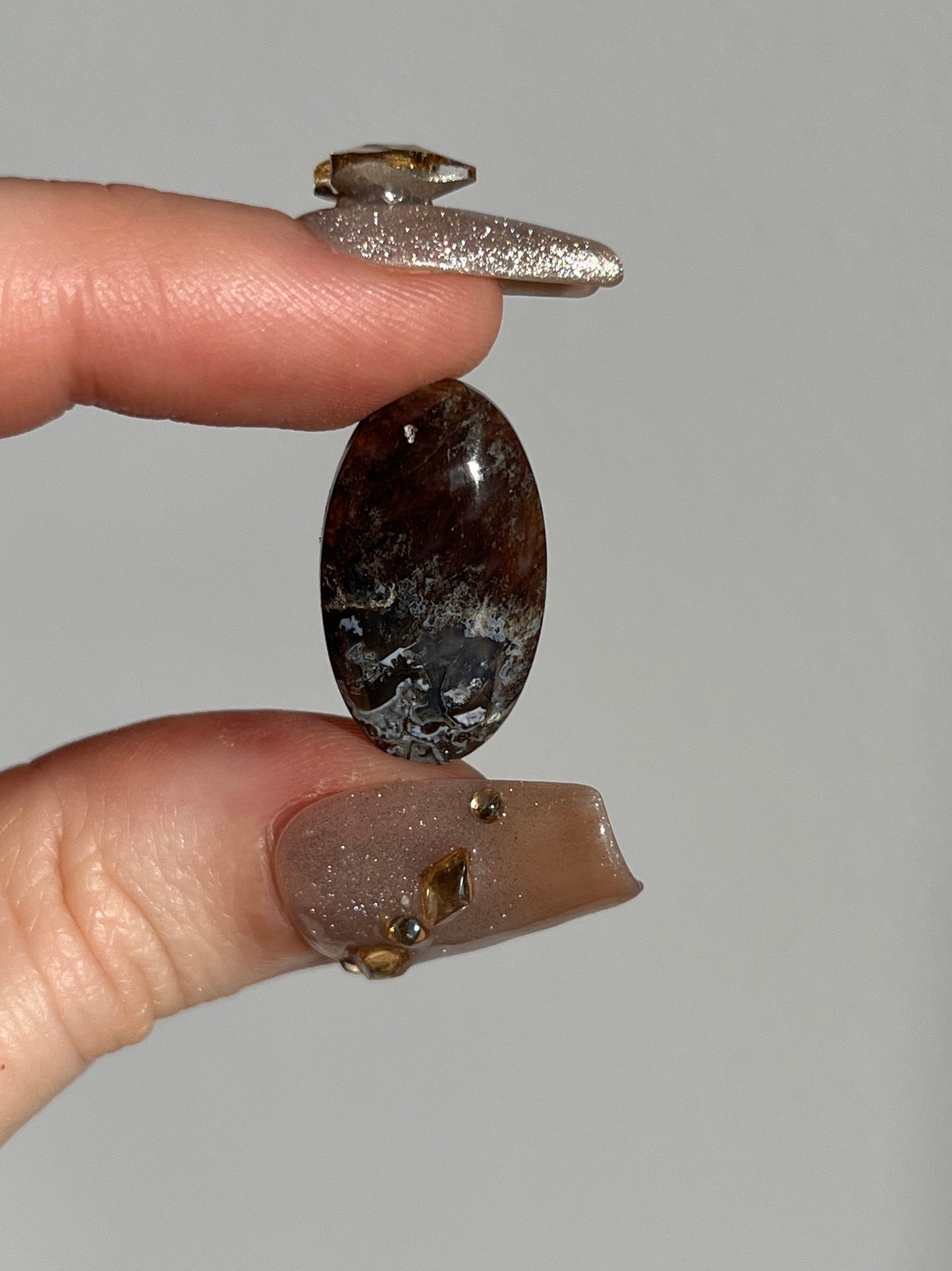 Black Petrified Wood and Marcasite Oval Cabochon (You Choose)