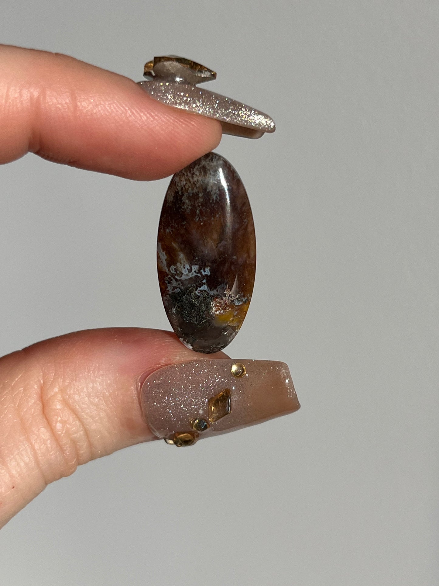 Black Petrified Wood and Marcasite Oval Cabochon (You Choose)