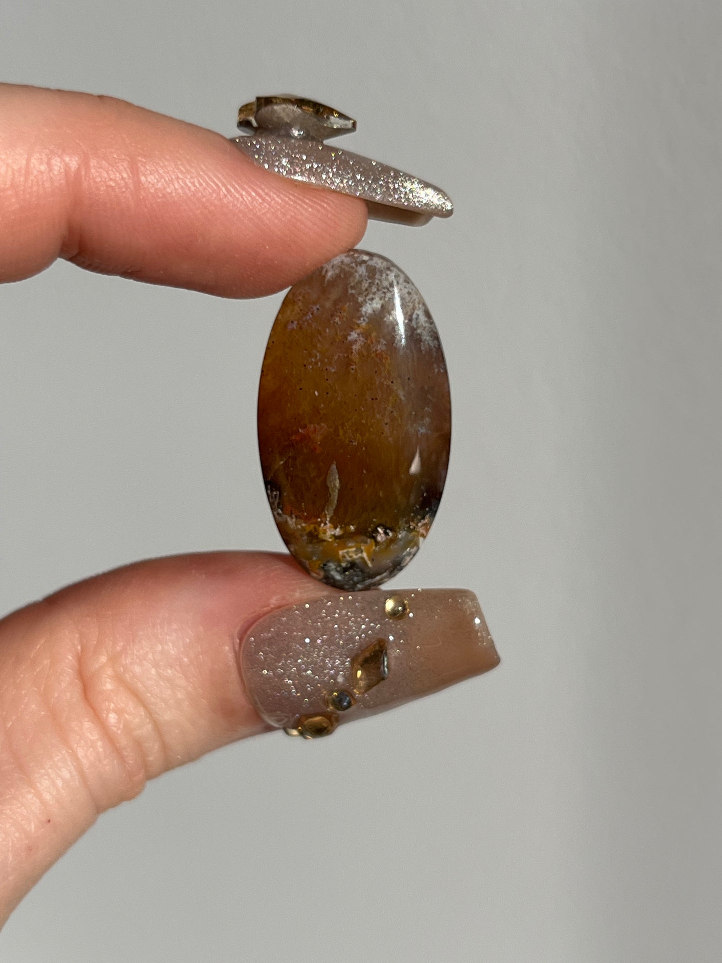 Petrified Wood and Marcasite Oval Cabochon (You Choose)
