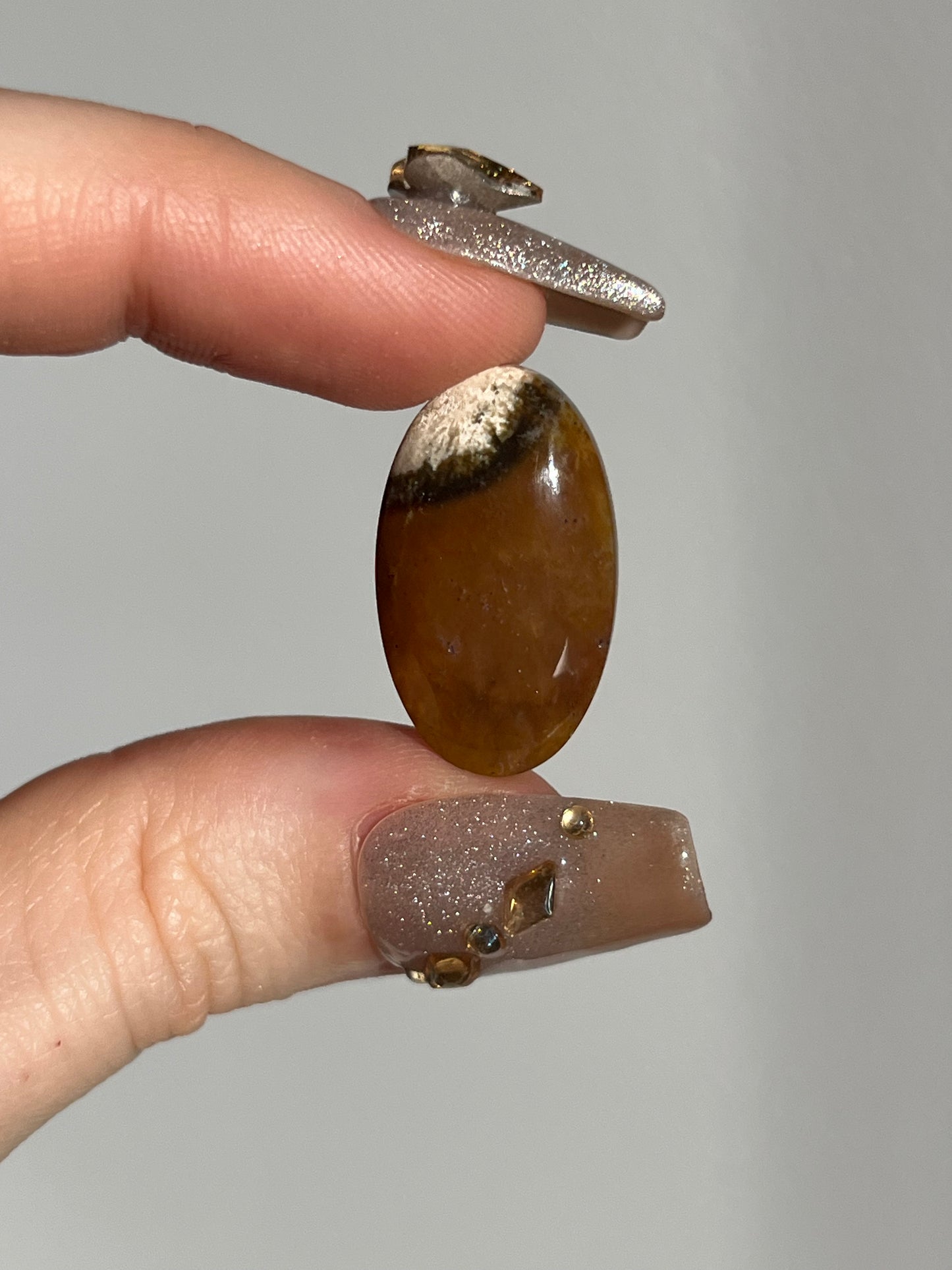 Petrified Wood and Marcasite Oval Cabochon (You Choose)