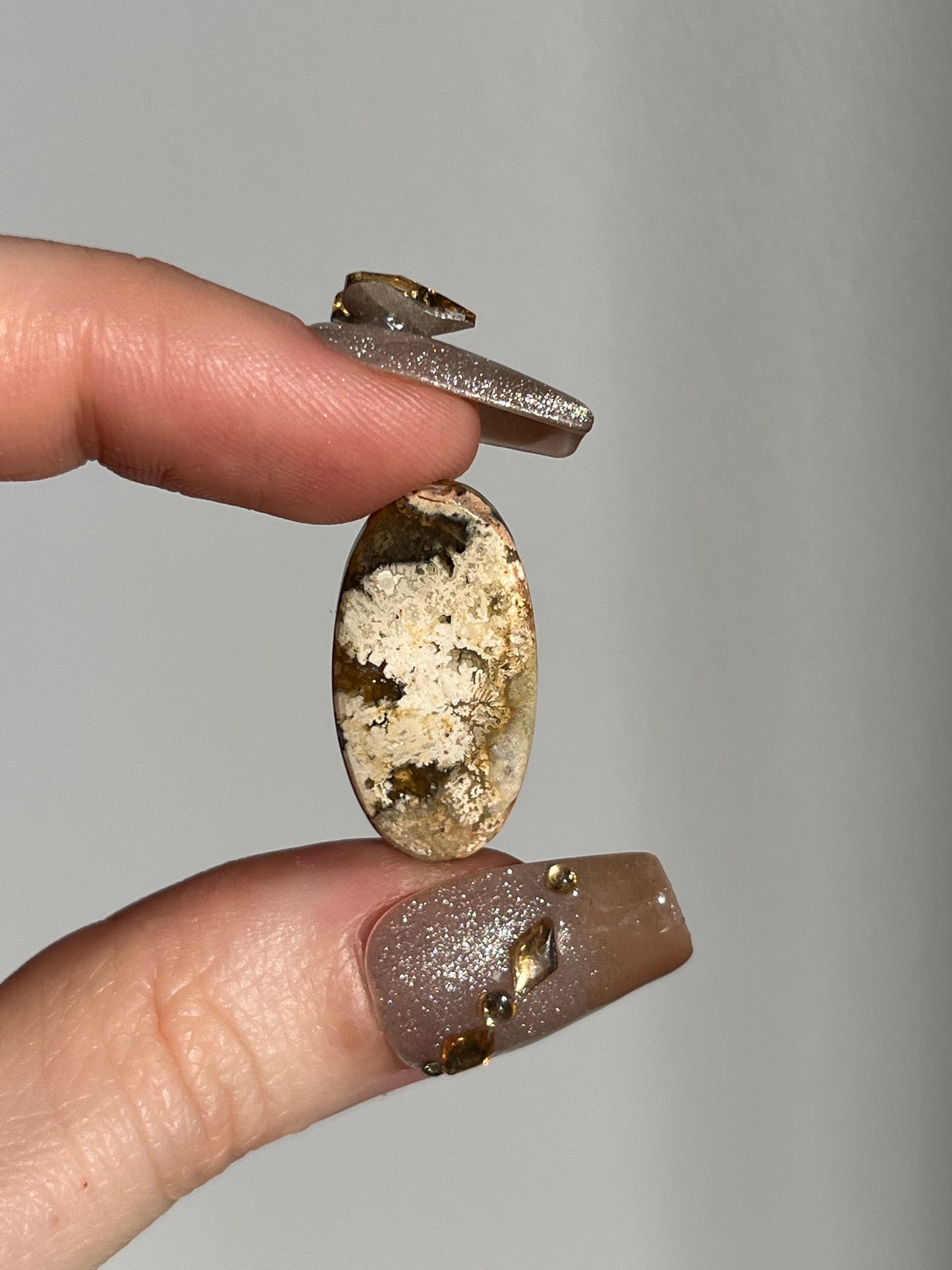 Petrified Wood and Marcasite Oval Cabochon (You Choose)